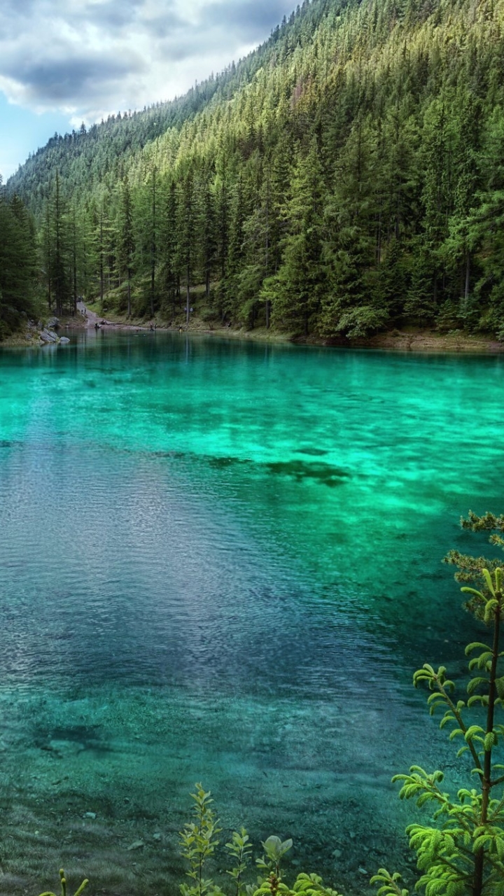 Скачать картинку Озера, Озеро, Лес, Австрия, Земля/природа в телефон бесплатно.