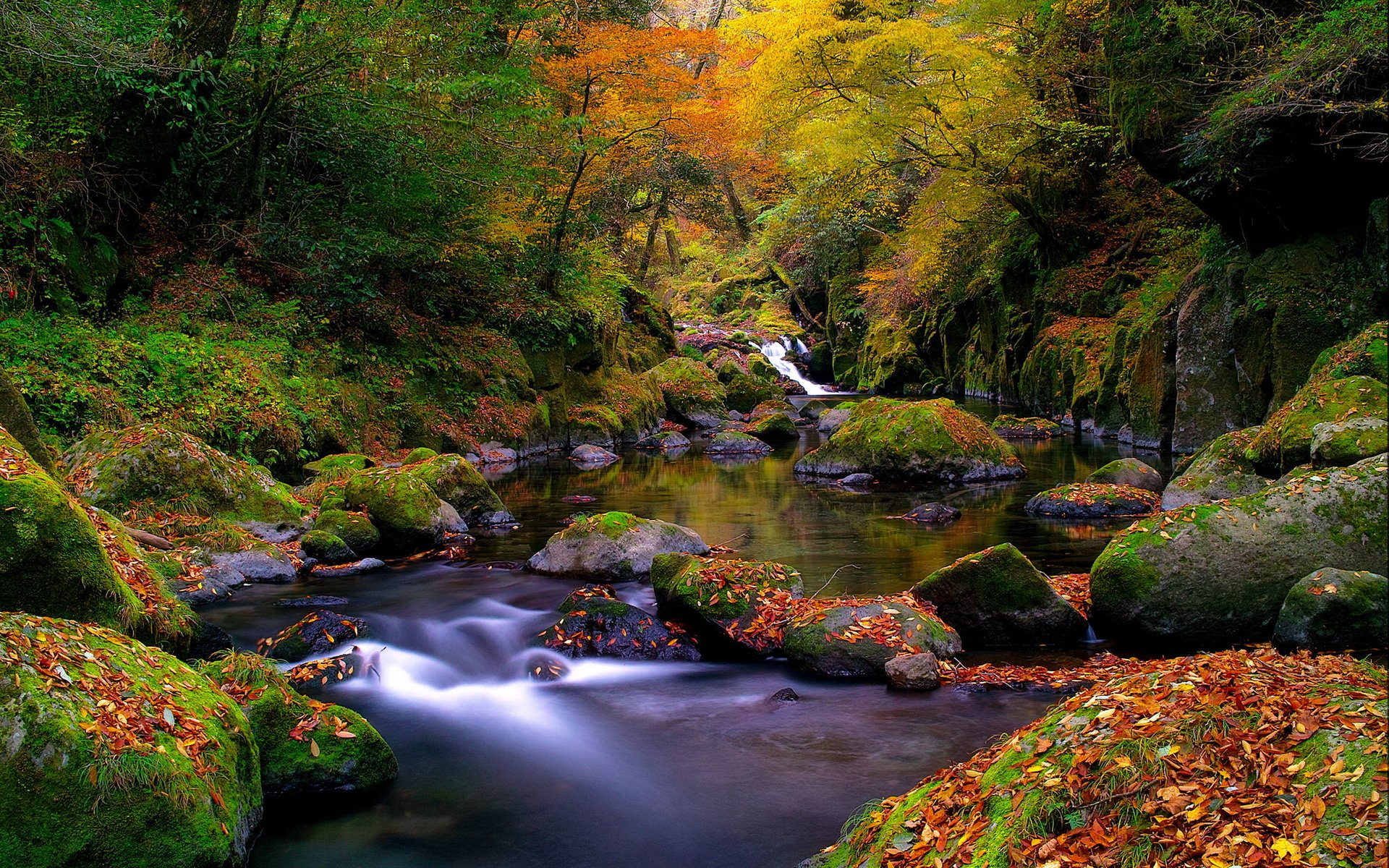 PCデスクトップに秋, 滝, 森, 地球, モス, ストリーム画像を無料でダウンロード