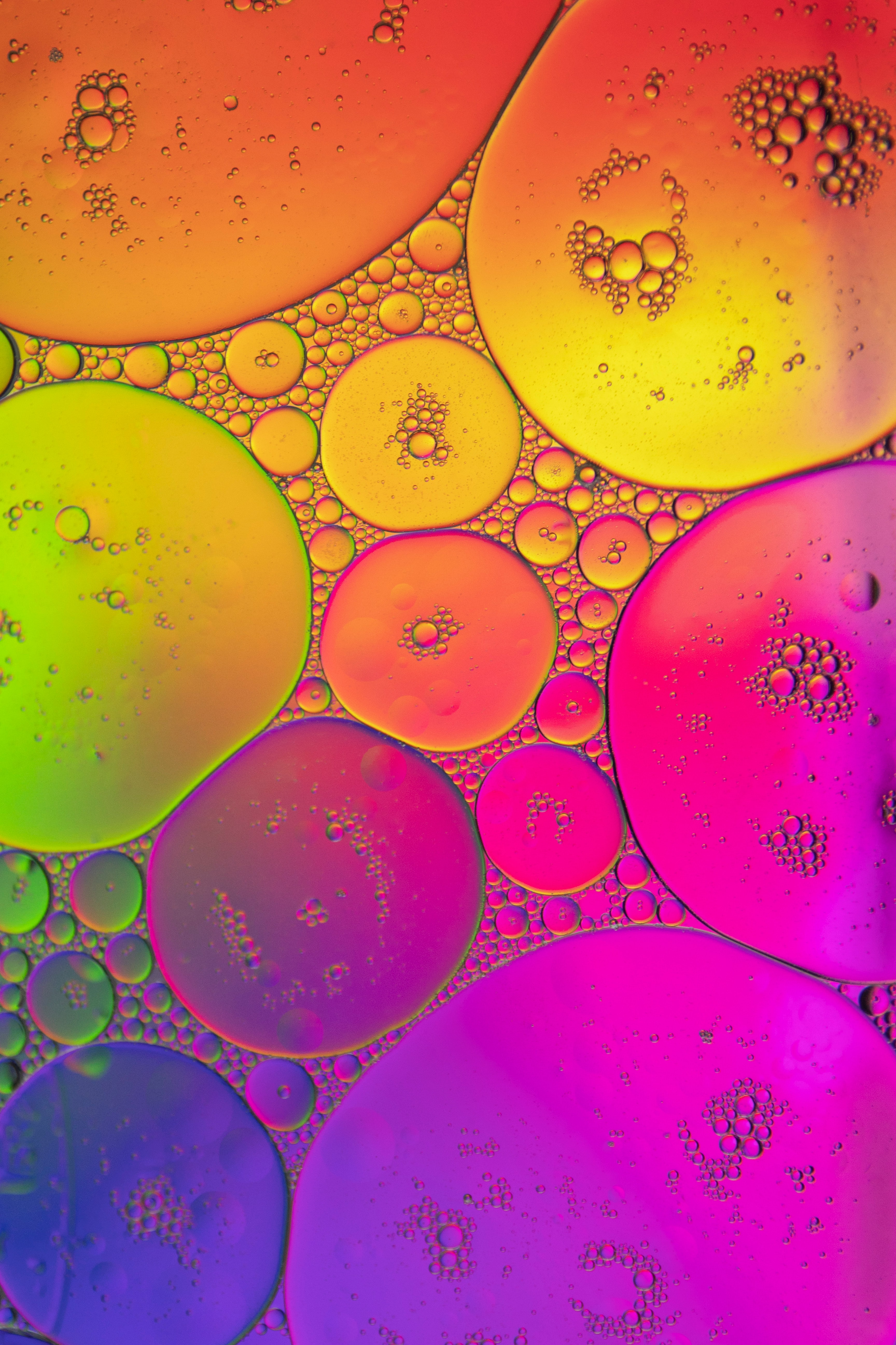 Free download wallpaper Abstract, Bubbles, Gradient on your PC desktop