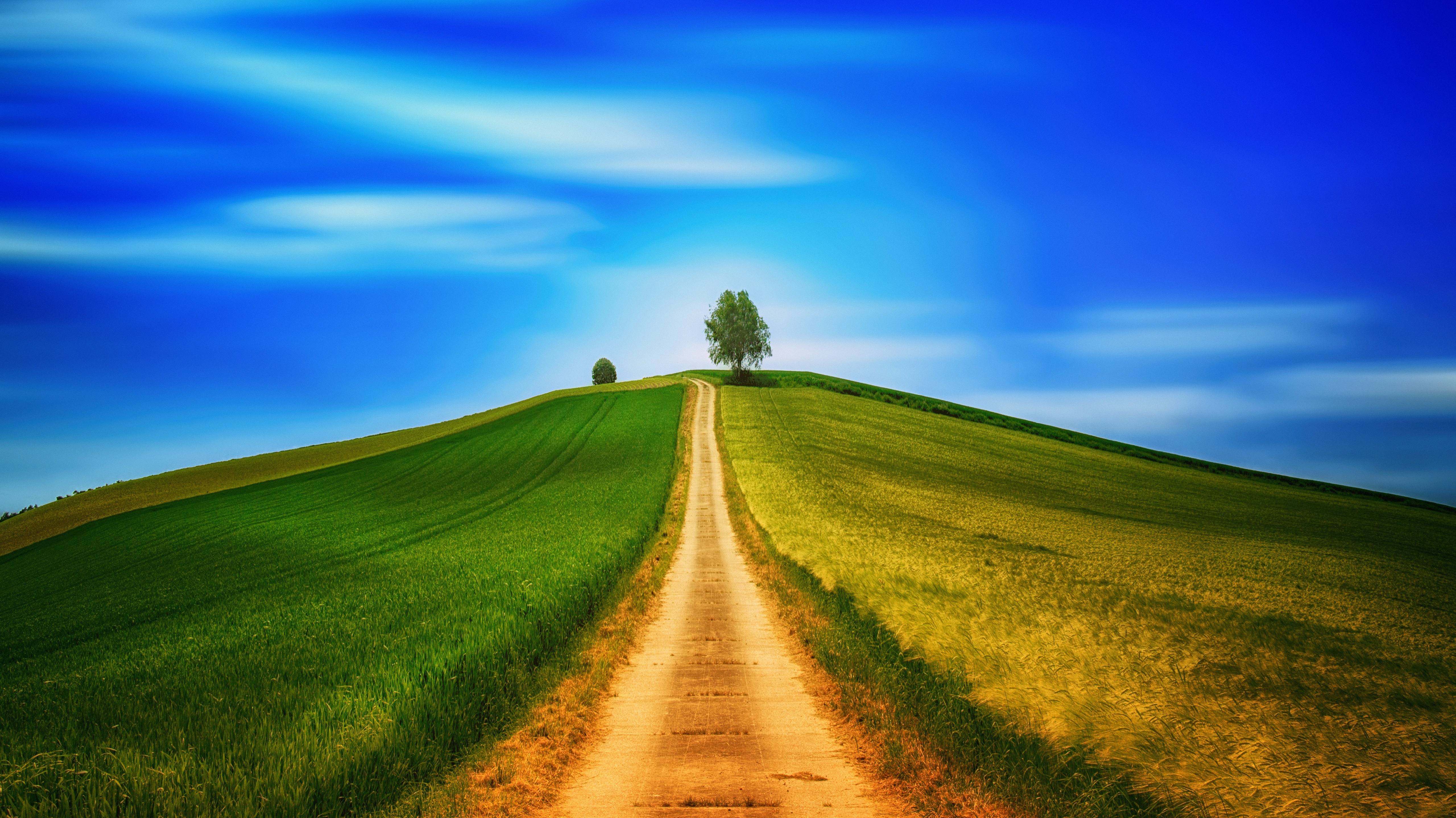 Free download wallpaper Tree, Earth, Field, Path, Hill, Dirt Road on your PC desktop