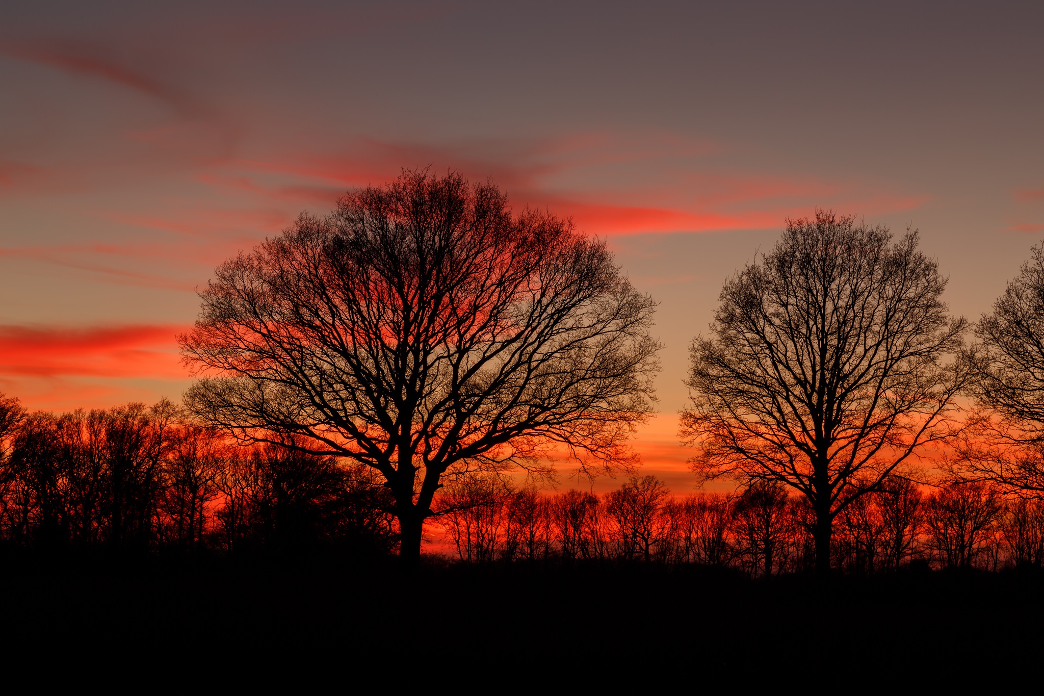 Download mobile wallpaper Nature, Sunset, Sky, Silhouette, Tree, Earth for free.