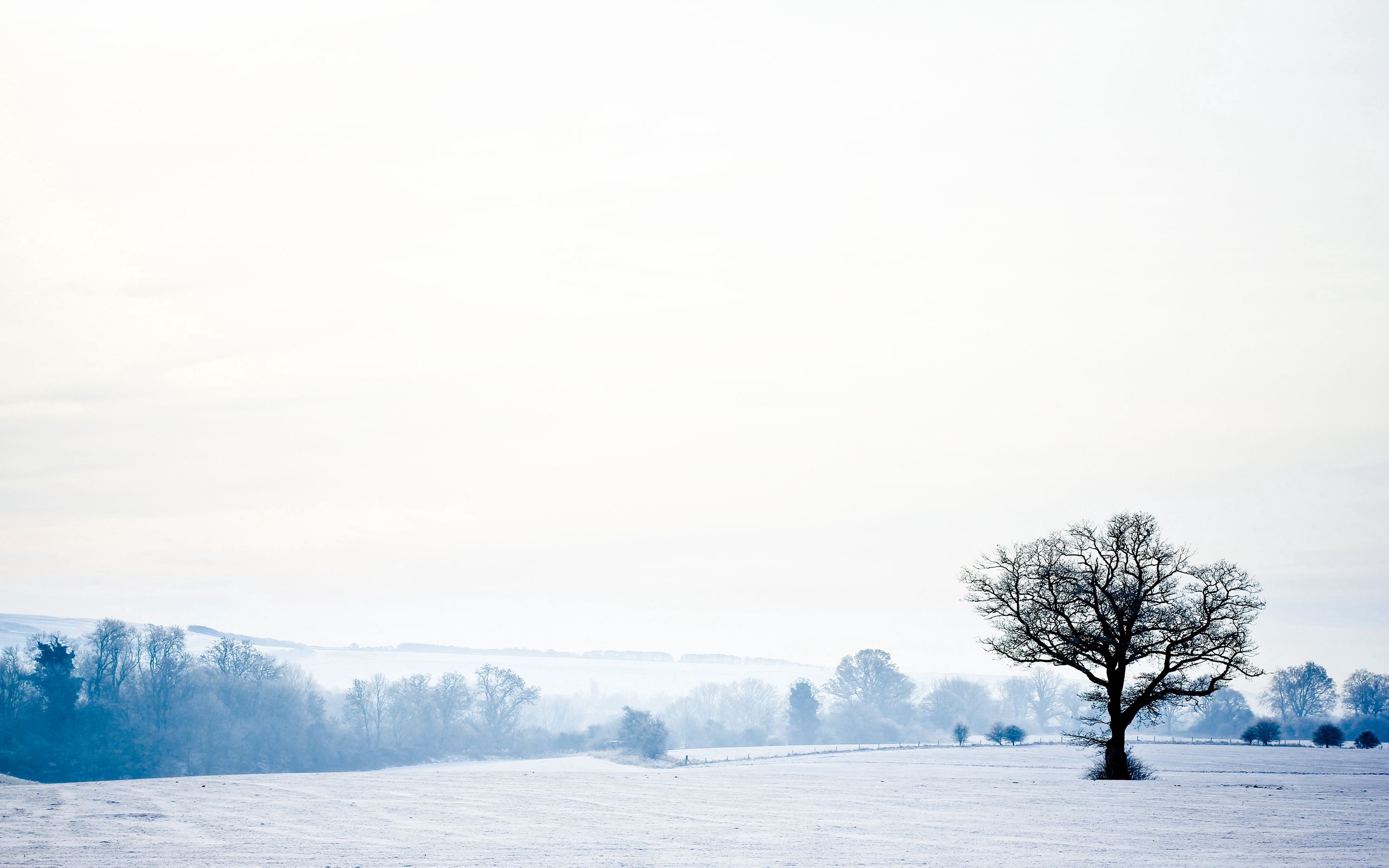 landscape, winter, nature, snow, wood, tree, lonely, cold, emptiness, void 5K