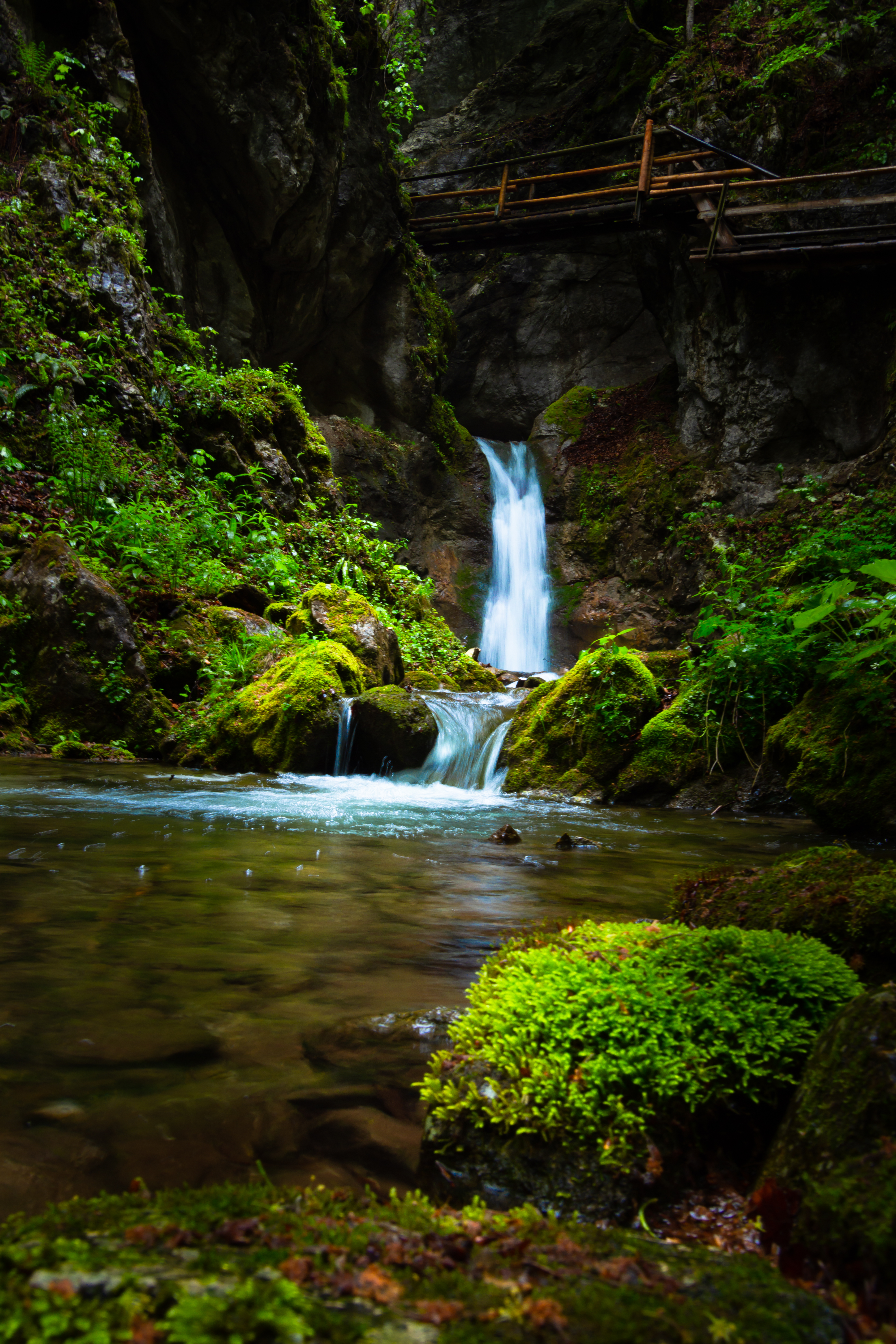 nature, water, rock, waterfall, creek, brook cell phone wallpapers