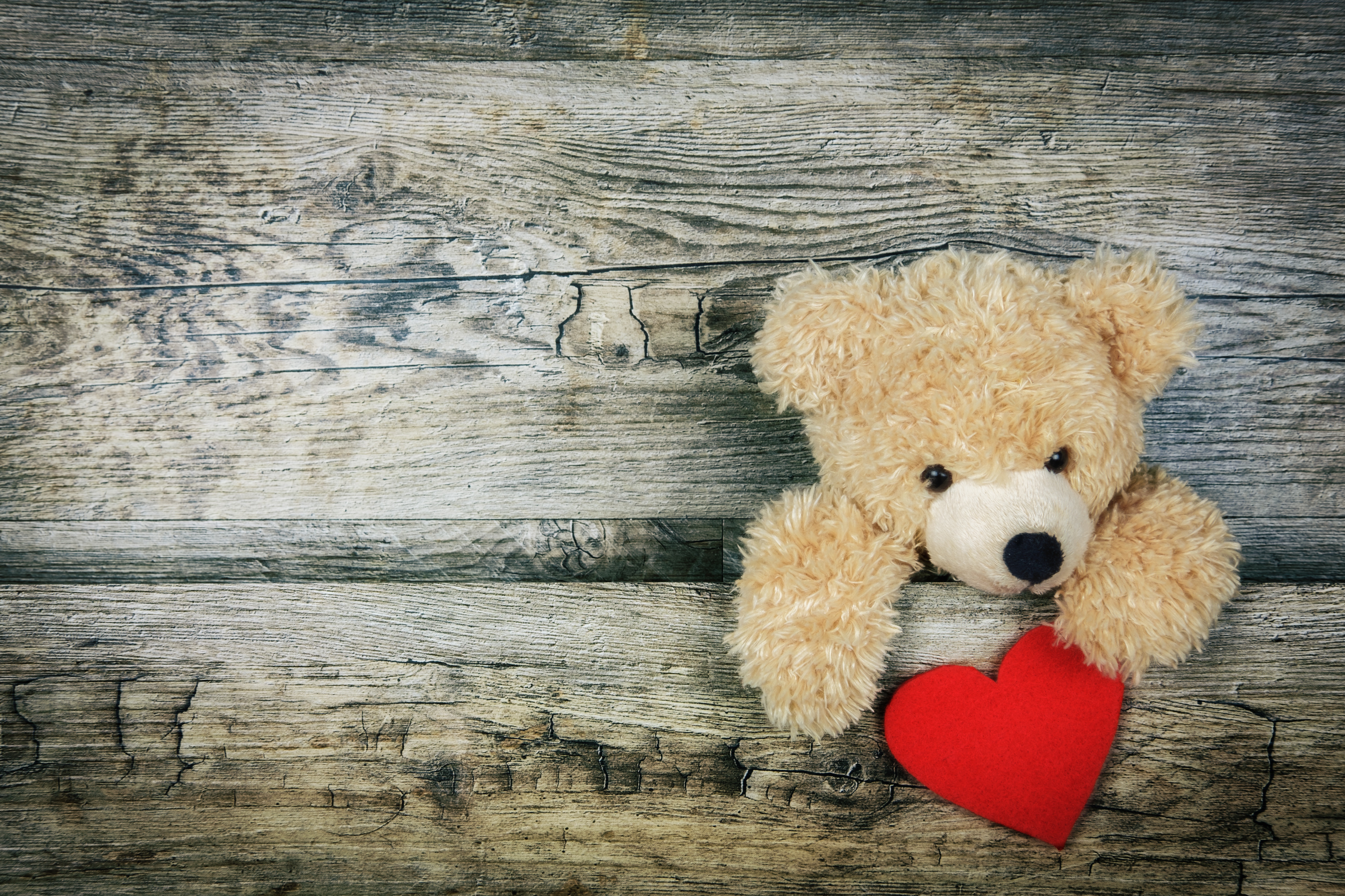 valentine's day, love, teddy bear, heart Full HD