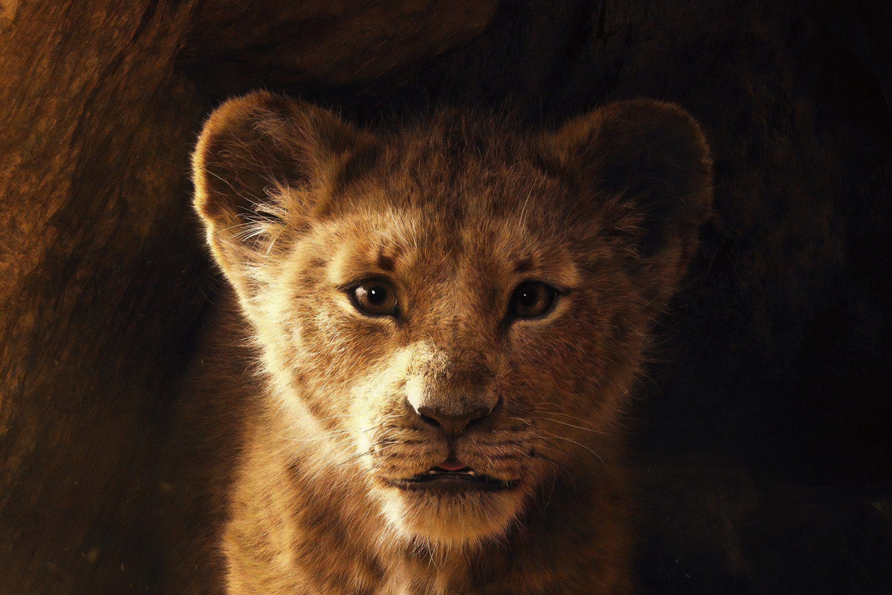 movie, the lion king (2019), lion, simba