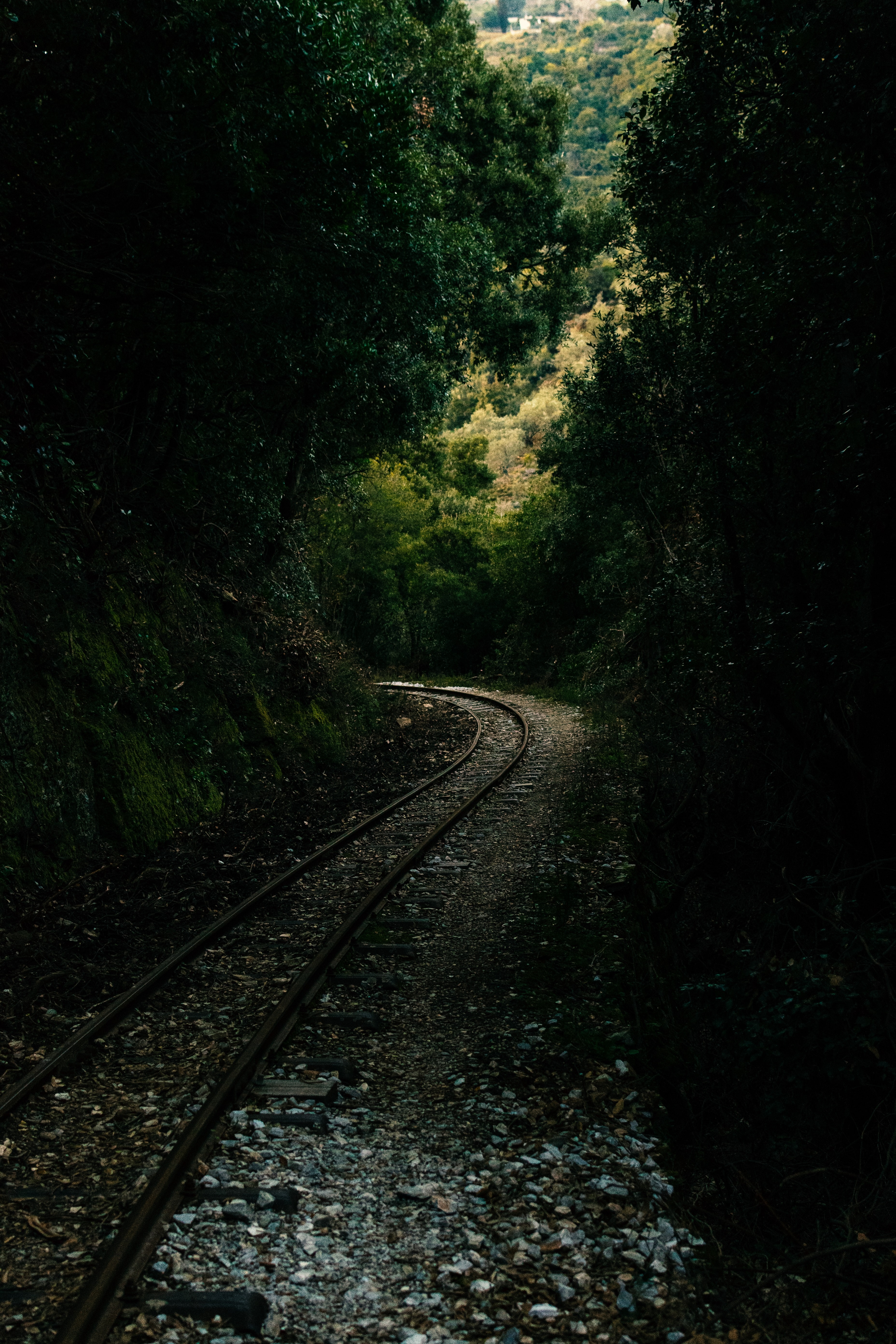 nature, rails, railway, forest, alley