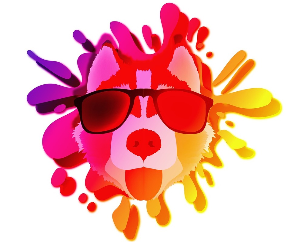 Handy-Wallpaper Tiere, Hund, Farben, Heiser, Brille, Sonnenbrille, Künstlerisch, Schlittenhund kostenlos herunterladen.