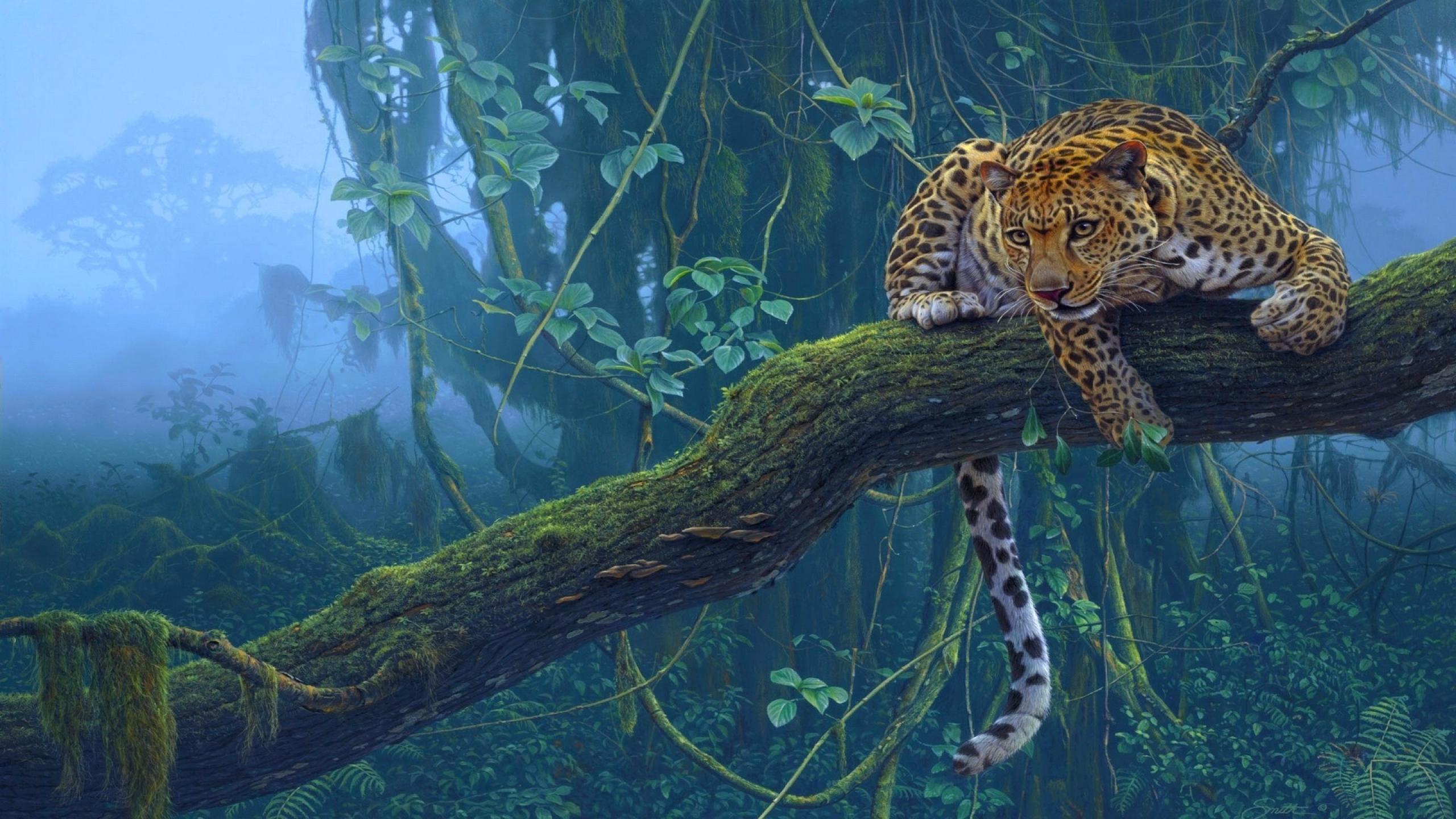 272002画像をダウンロード動物, ヒョウ, ブランチ, 霧, 密林, 雨林, 猫-壁紙とスクリーンセーバーを無料で
