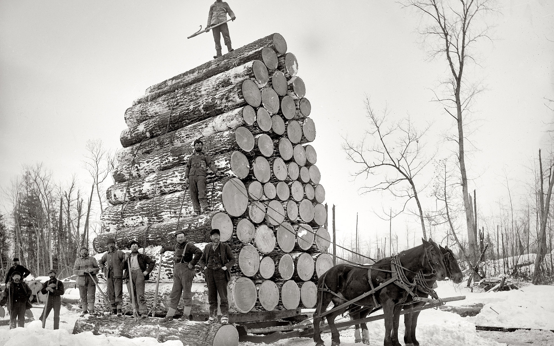 Скачати мобільні шпалери Фотографія, Чорний Білий безкоштовно.