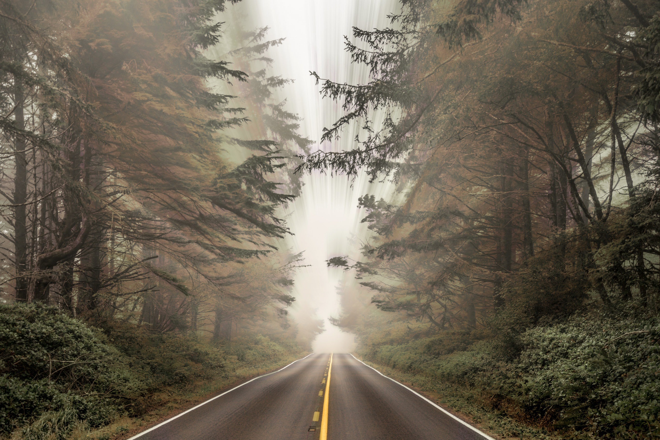 Download mobile wallpaper Nature, Road, Forest, Tree, Fog, Man Made for free.