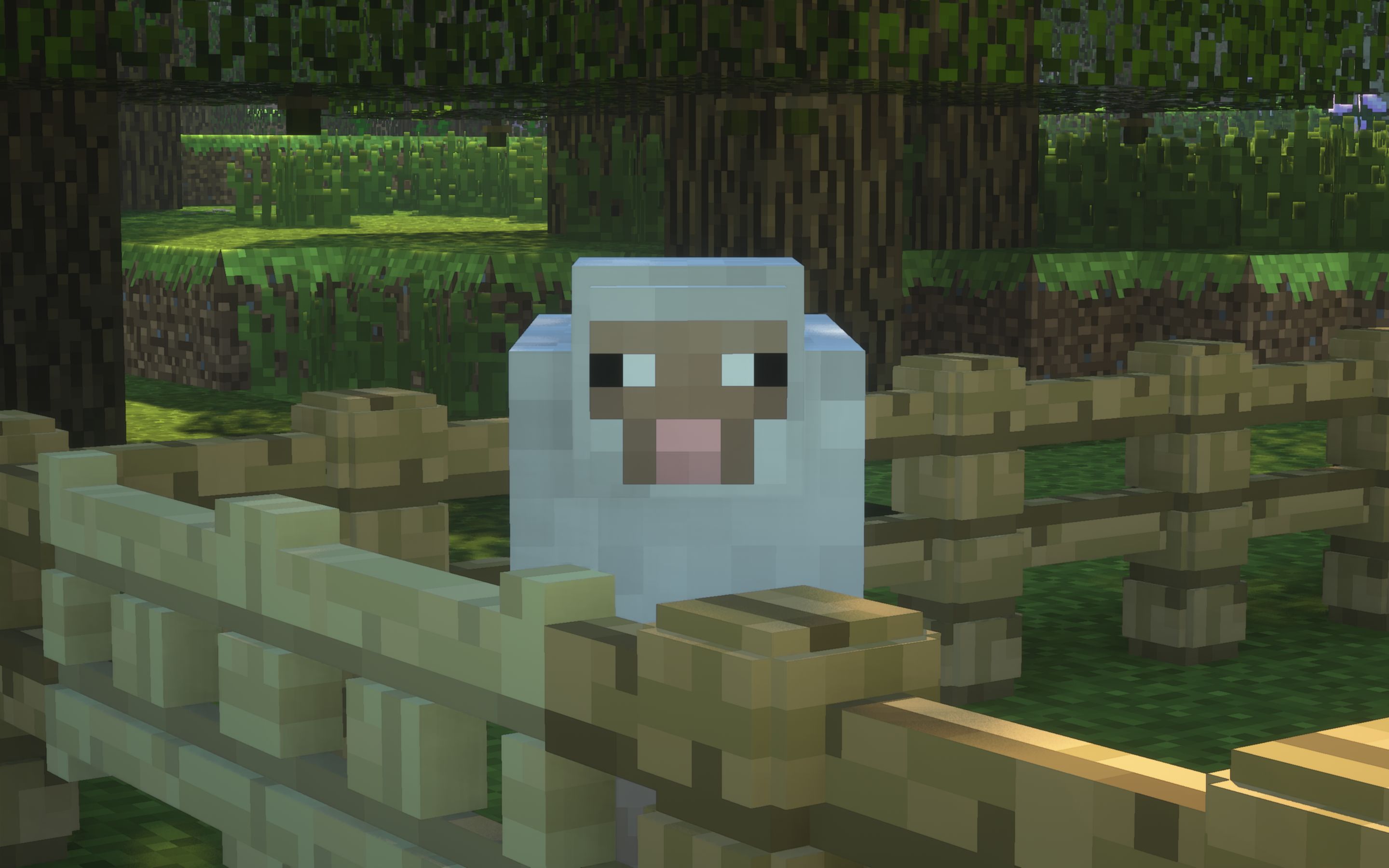 Download mobile wallpaper Minecraft, Fence, Sheep, Video Game for free.