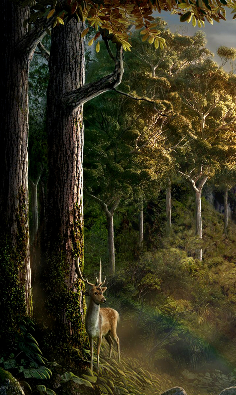Download mobile wallpaper Landscape, Nature, Fantasy, Forest for free.