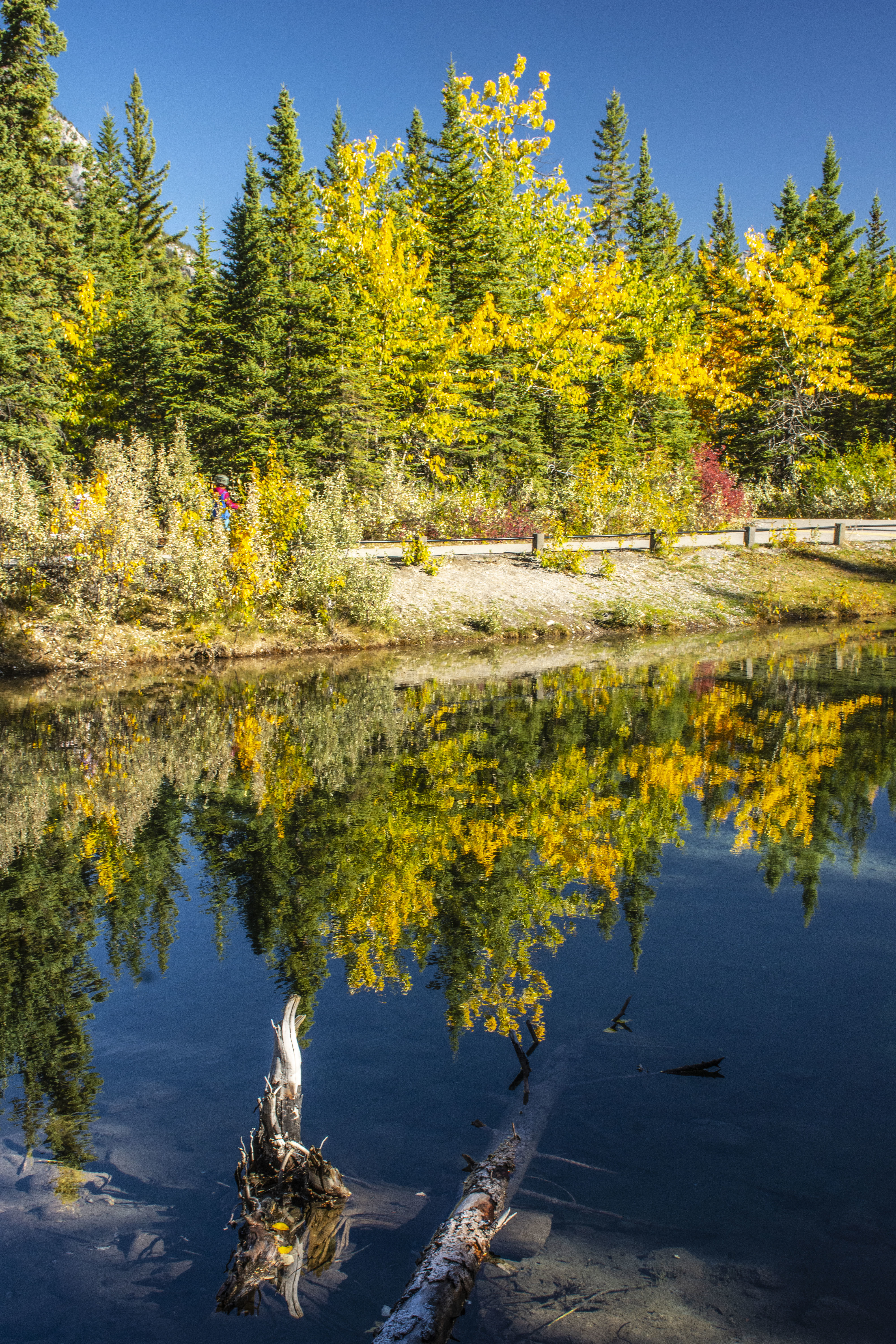 PCデスクトップに自然, 木, 秋, 湖, 反射, 水画像を無料でダウンロード