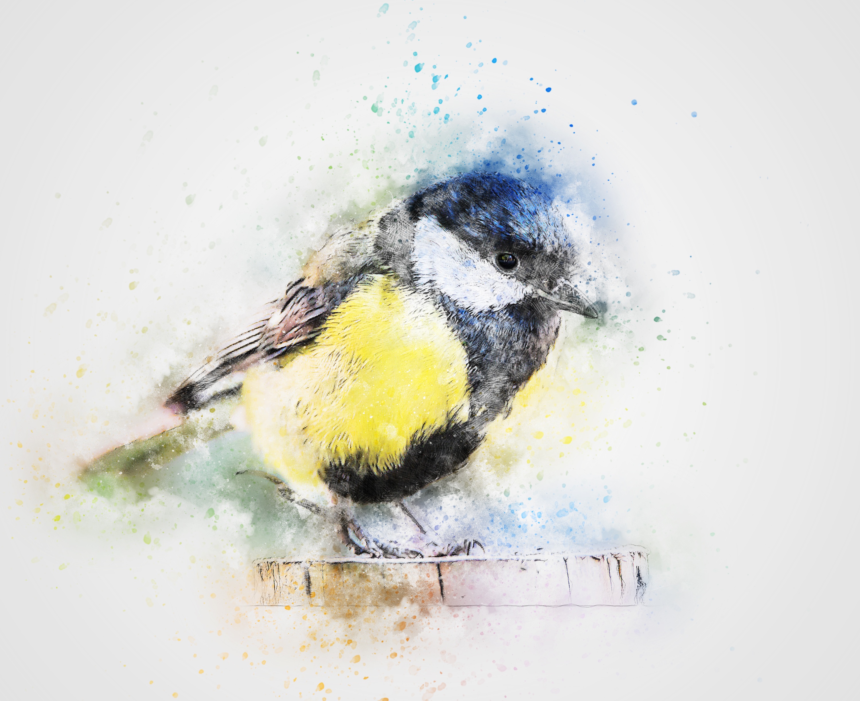 413139 baixar papel de parede animais, chickadee, pássaro, aquarela, aves - protetores de tela e imagens gratuitamente