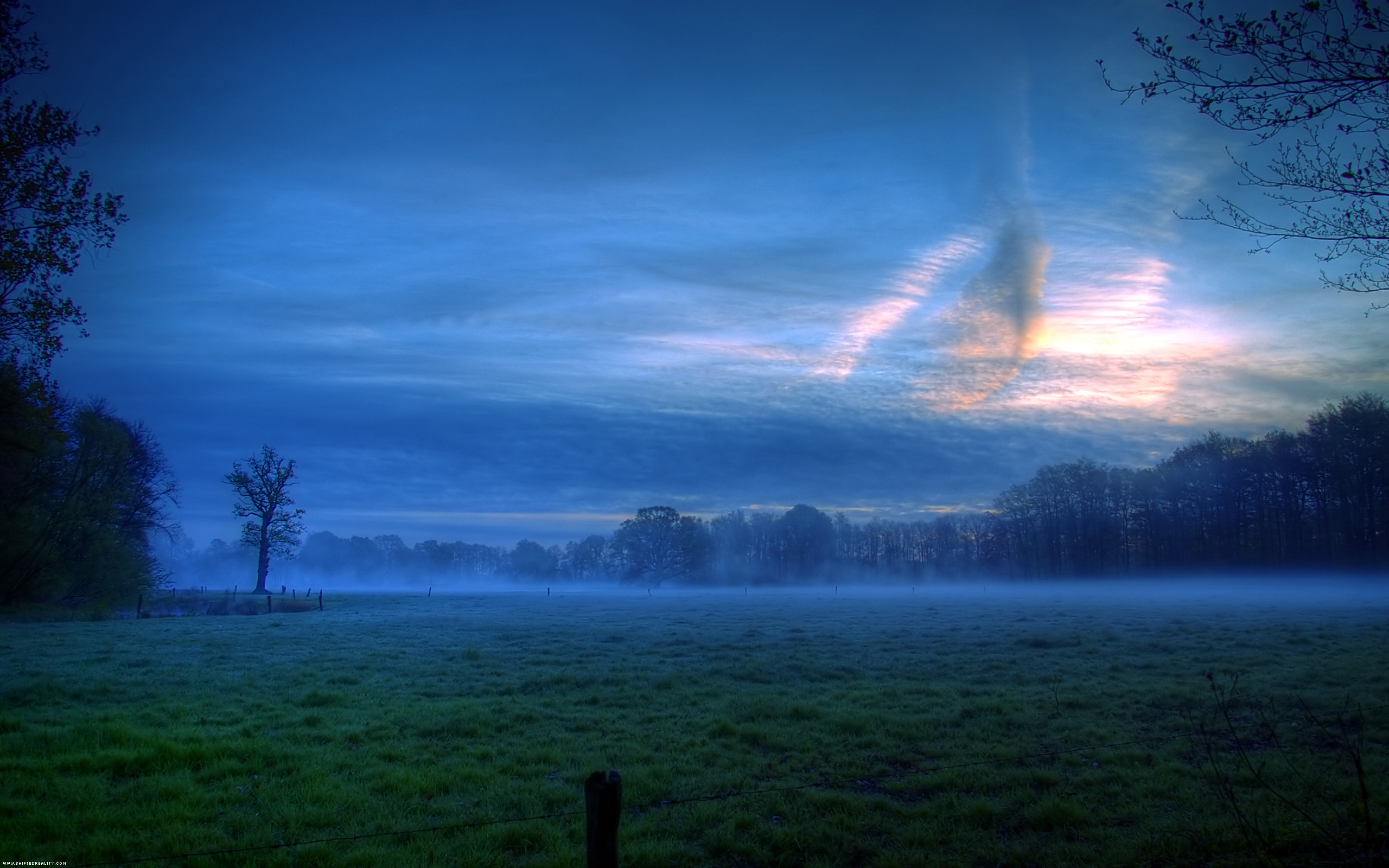 green, dusk, tree, earth, field, cloud, fog