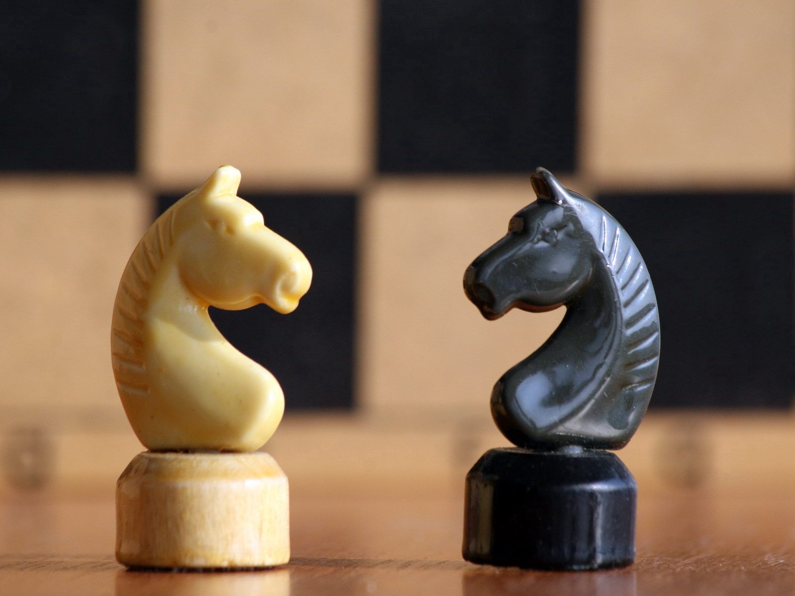 Скачать обои бесплатно Шахматы, Белый, Черный, Фигуры, Конь, Спорт картинка на рабочий стол ПК