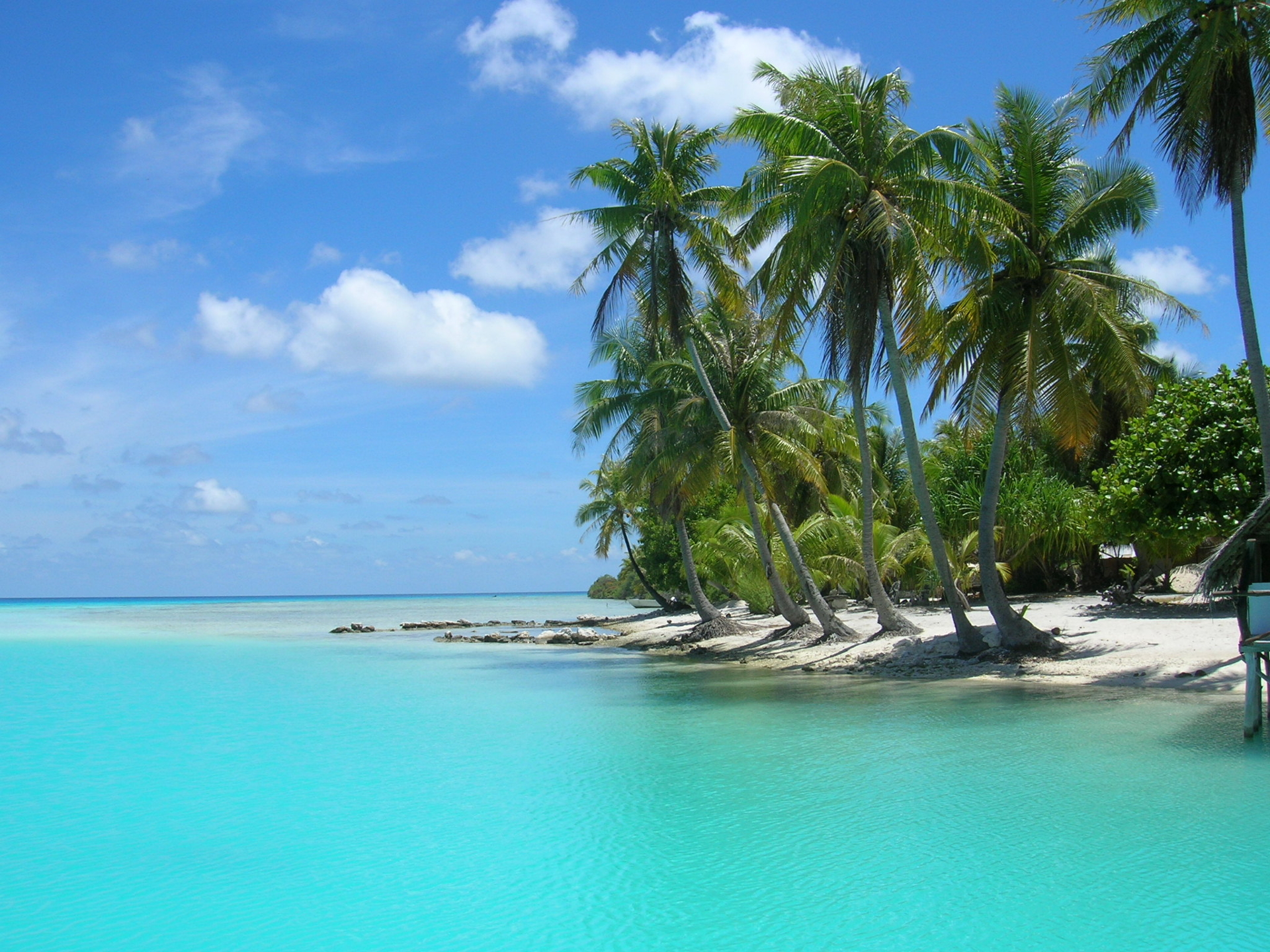 Free download wallpaper Sea, Beach, Horizon, Ocean, Earth, Tropical, Photography, Palm Tree on your PC desktop
