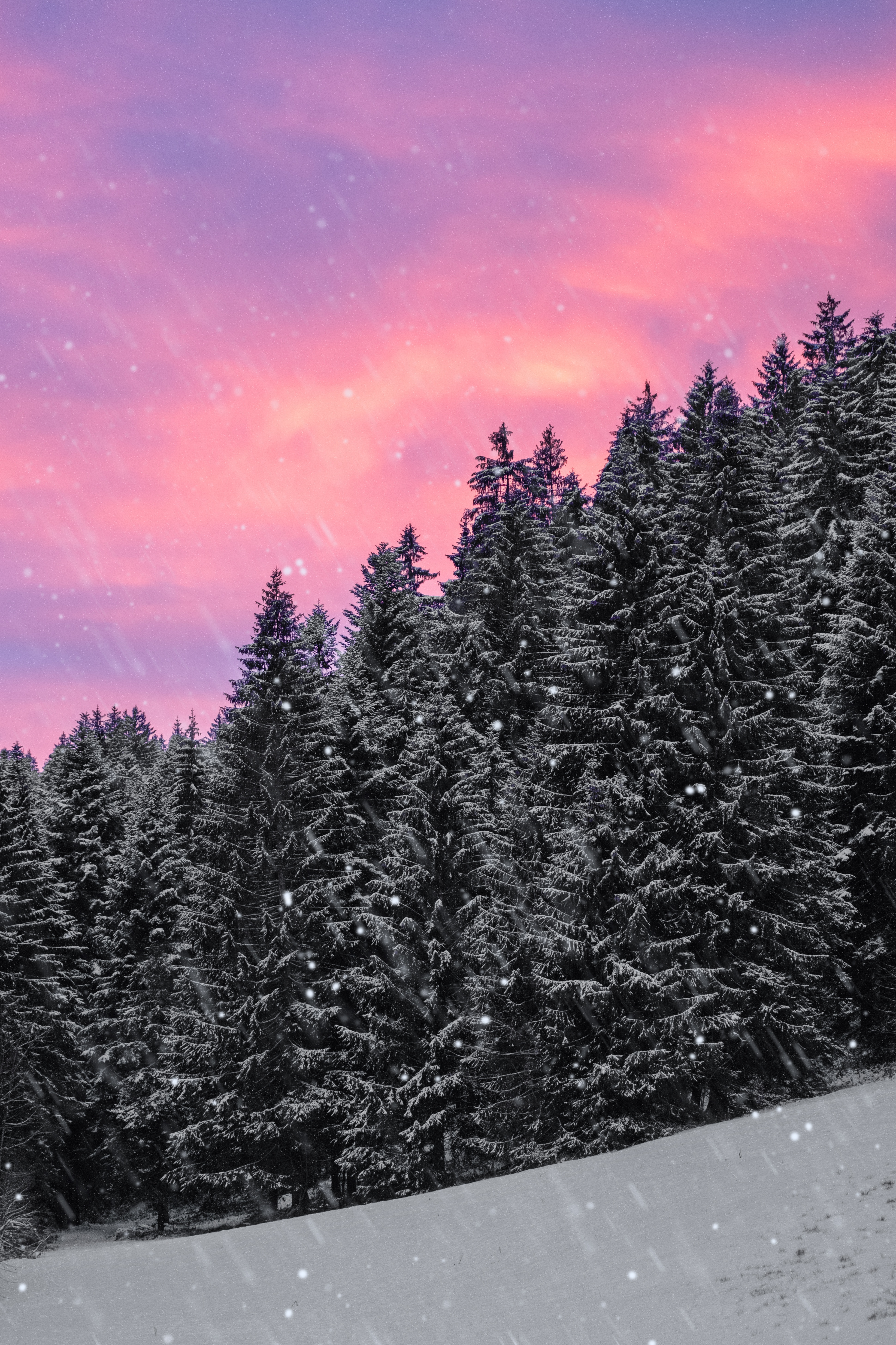 147725 завантажити картинку зима, природа, небо, сніг, ліс, їли, снігопад - шпалери і заставки безкоштовно