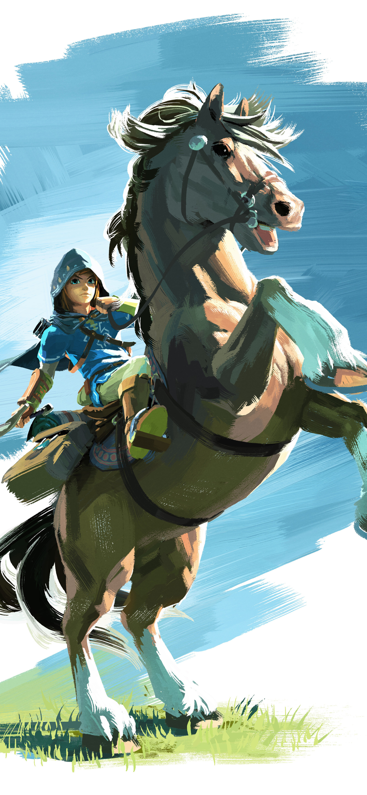 Download mobile wallpaper Link, Video Game, The Legend Of Zelda, Zelda, Nintendo, The Legend Of Zelda: Breath Of The Wild for free.