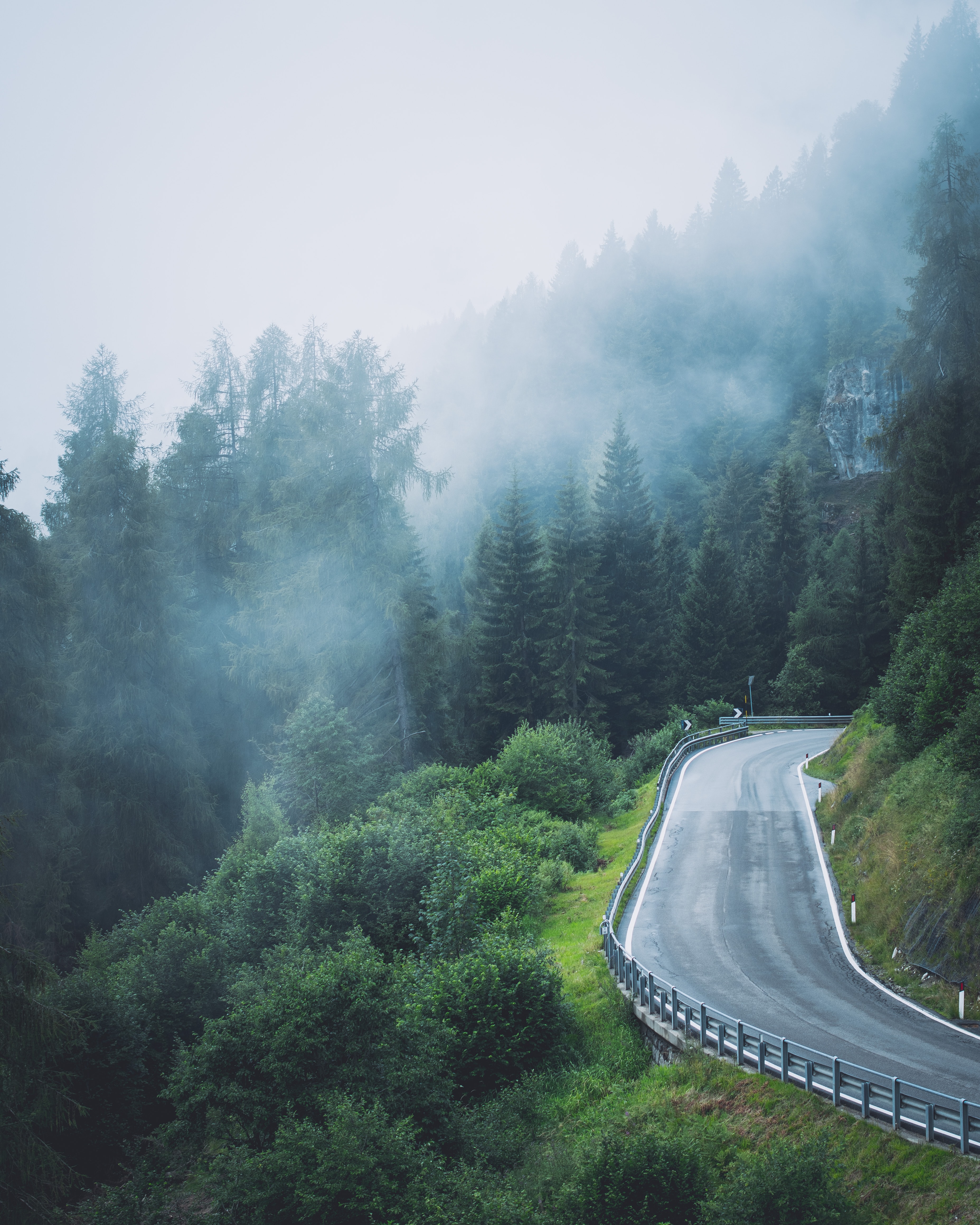 slope, nature, trees, road, fog lock screen backgrounds