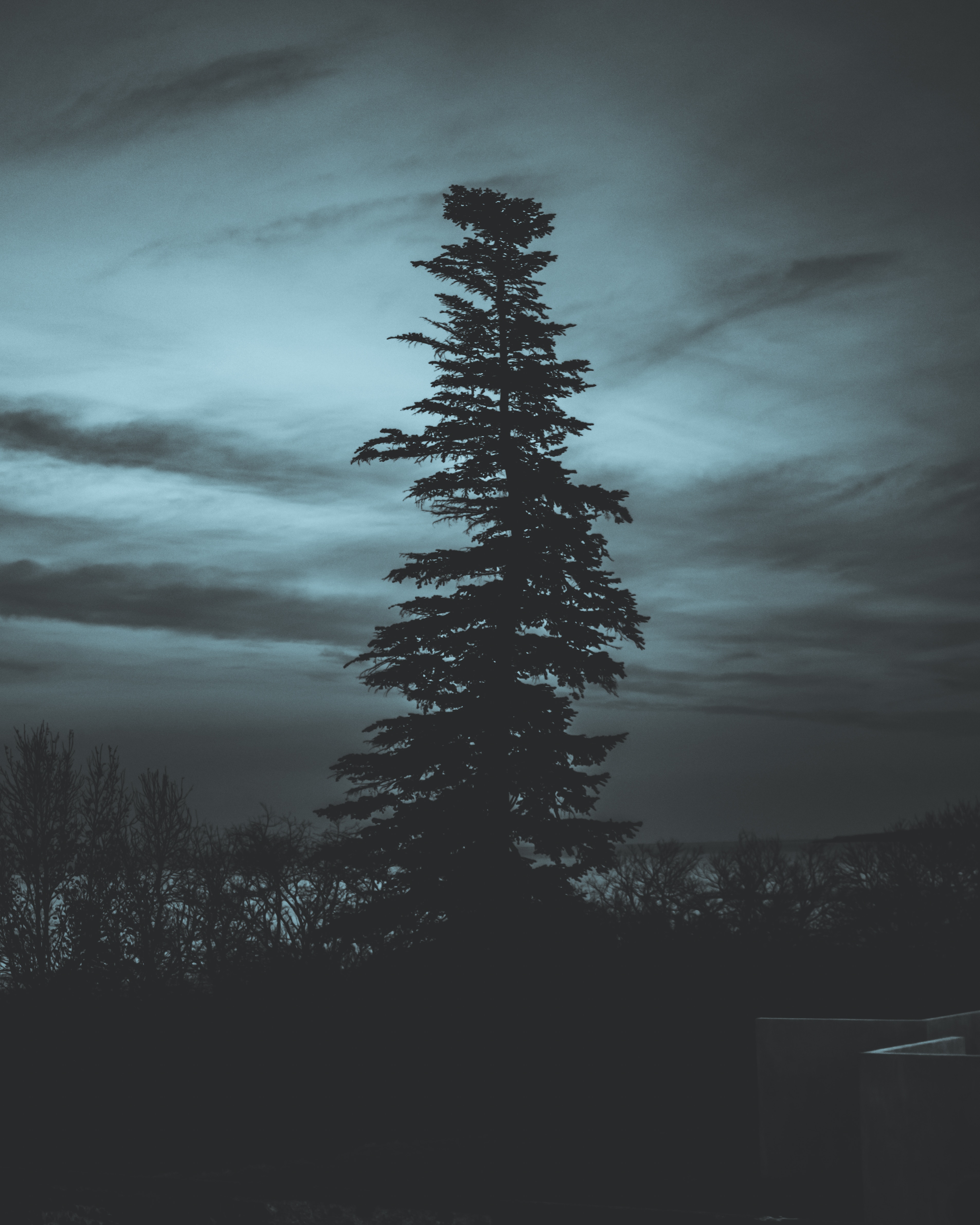 Download mobile wallpaper Wood, Sky, Tree, Silhouette, Night, Dark for free.