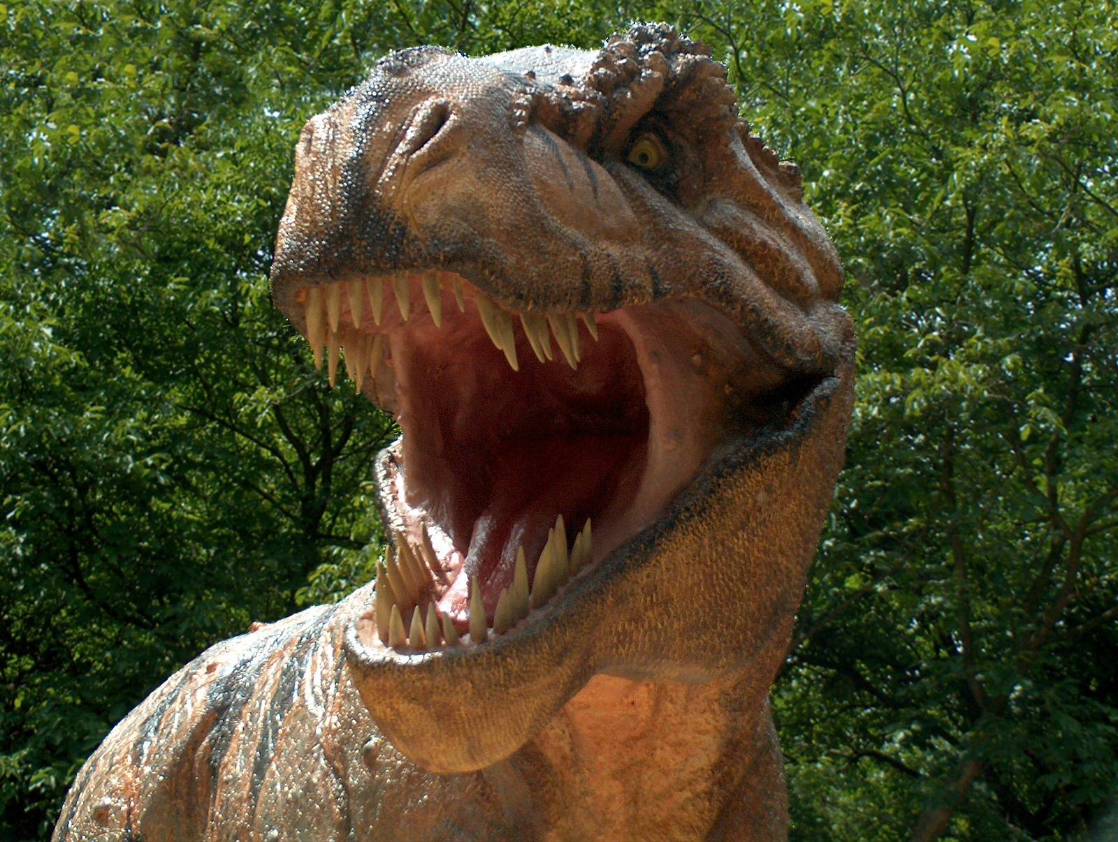 521020 Hintergrundbild herunterladen dinosaurier, tiere, tyrannosaurus rex - Bildschirmschoner und Bilder kostenlos