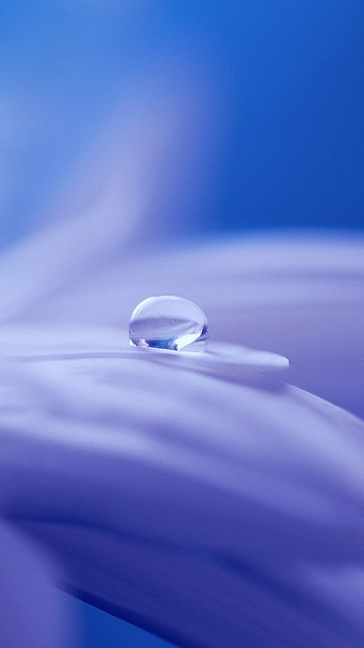 Download mobile wallpaper Nature, Flower, Close Up, Earth, Purple, Water Drop for free.