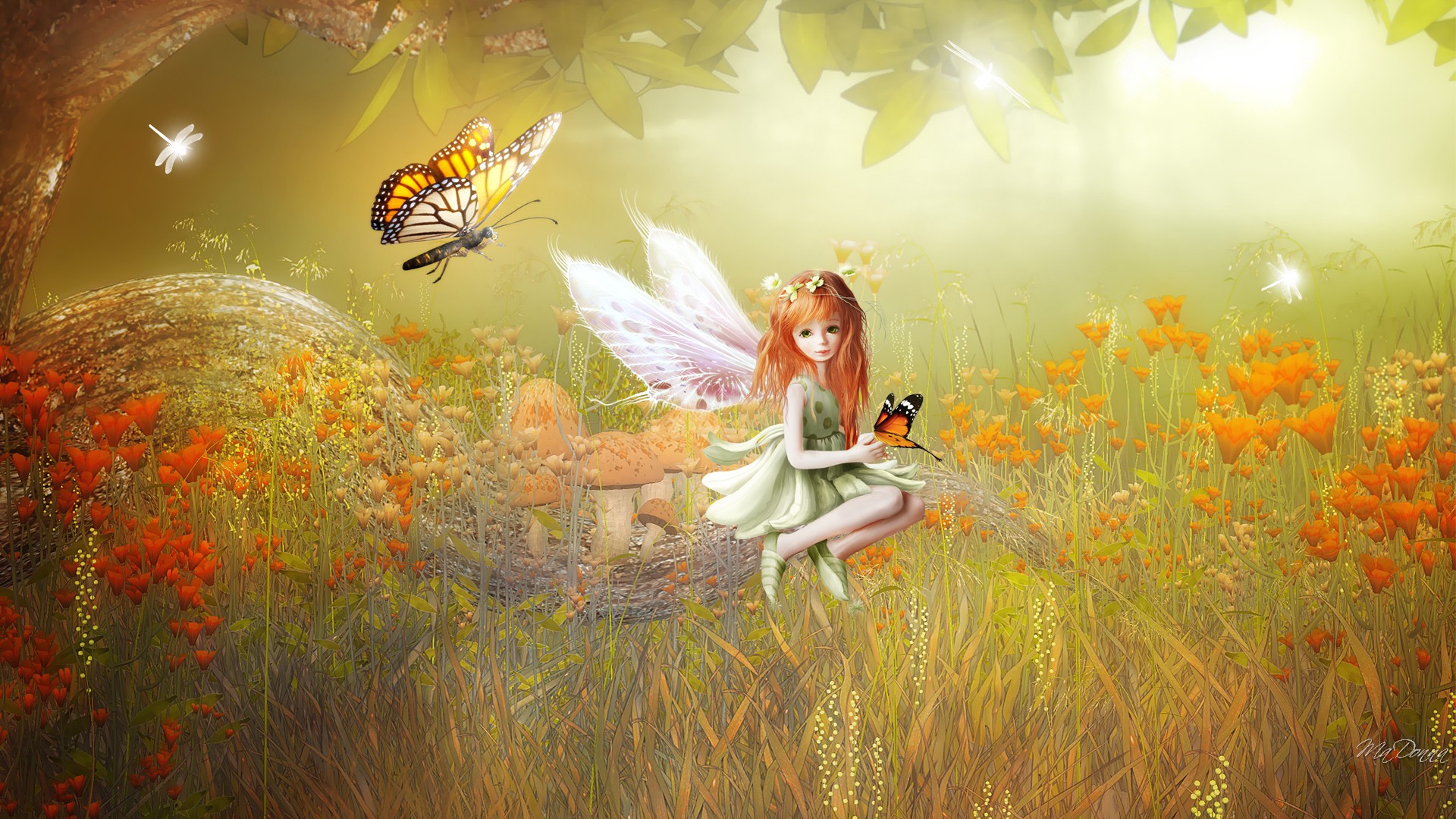 PCデスクトップに蝶, ファンタジー, ポピー, 春, 妖精, 少女画像を無料でダウンロード