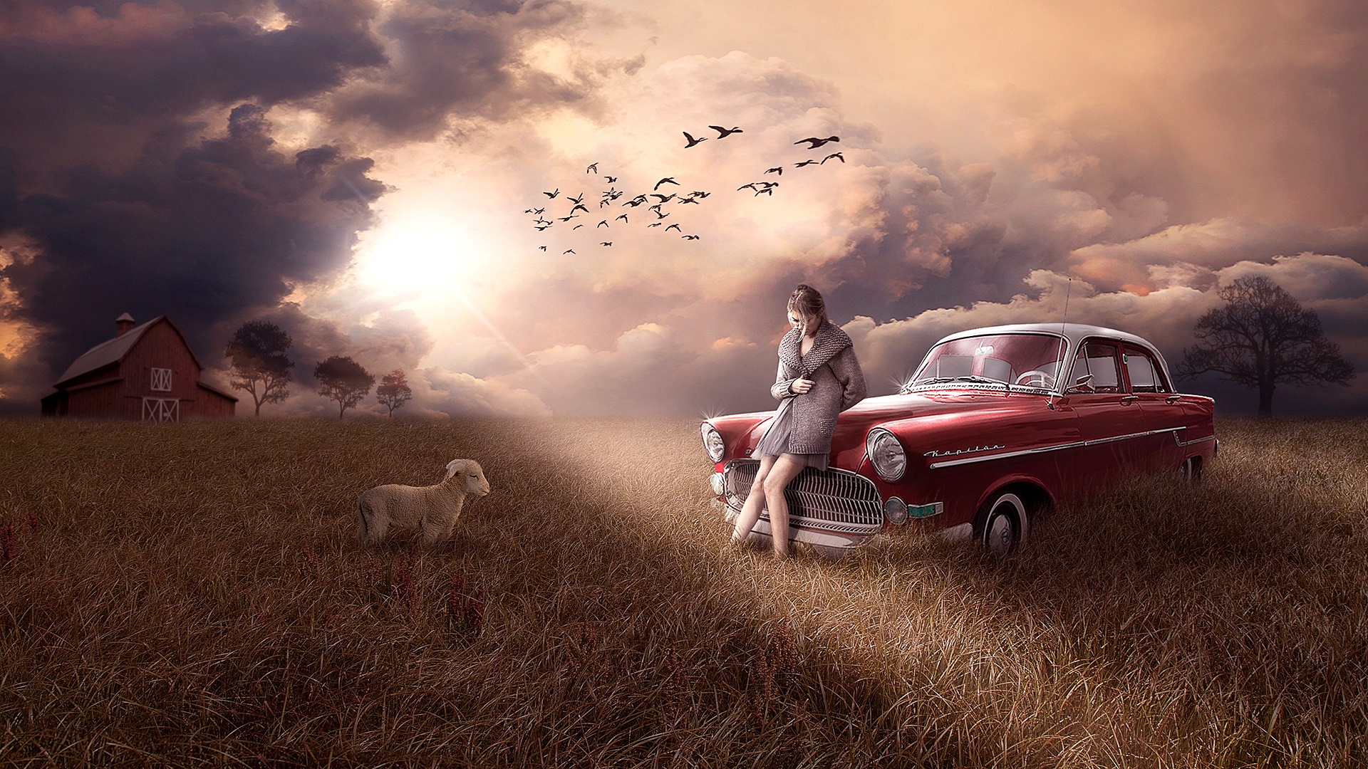 fantasy, women, car, field, lamb, sad