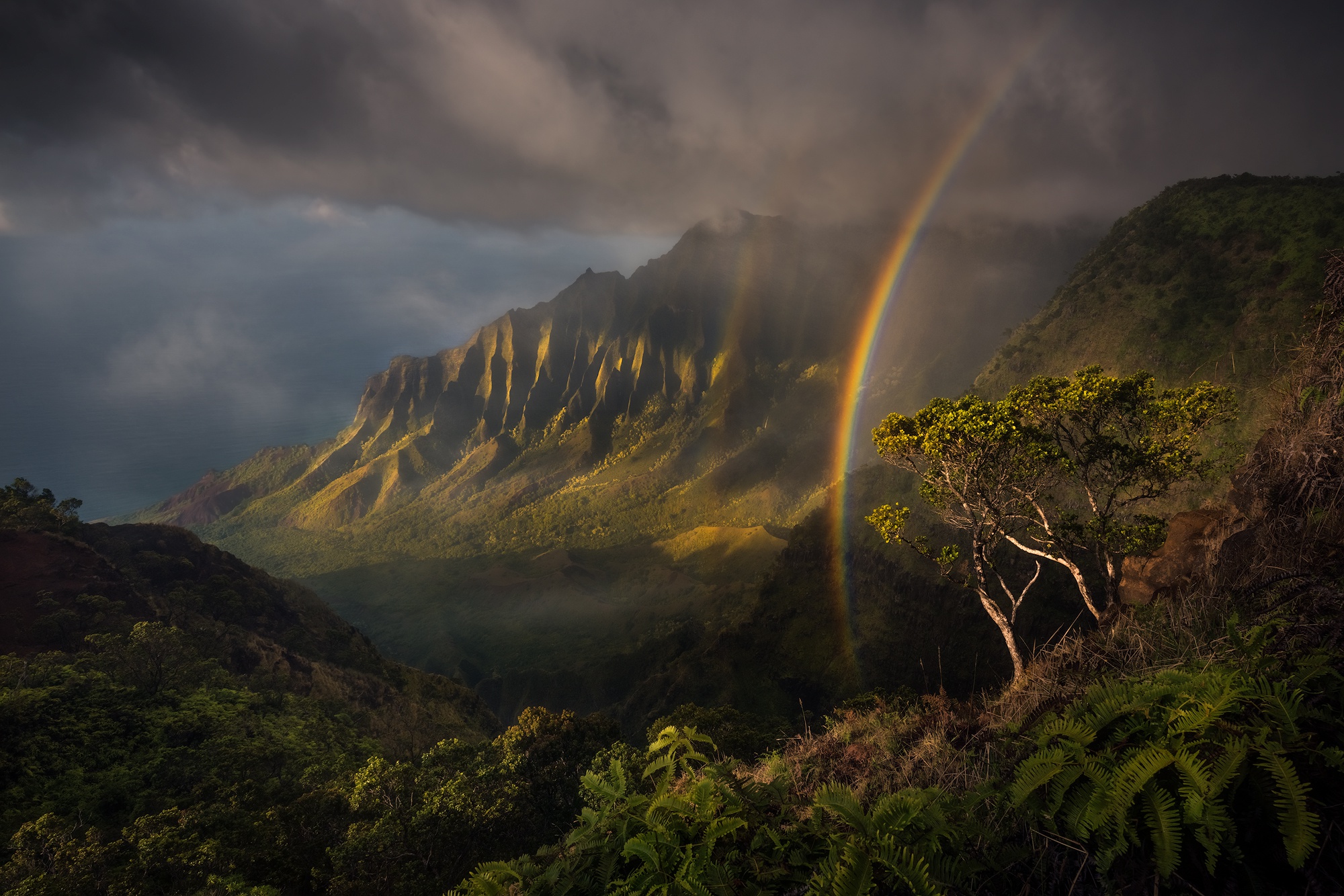 Laden Sie das Landschaft, Natur, Regenbogen, Erde/natur, Regenwald-Bild kostenlos auf Ihren PC-Desktop herunter