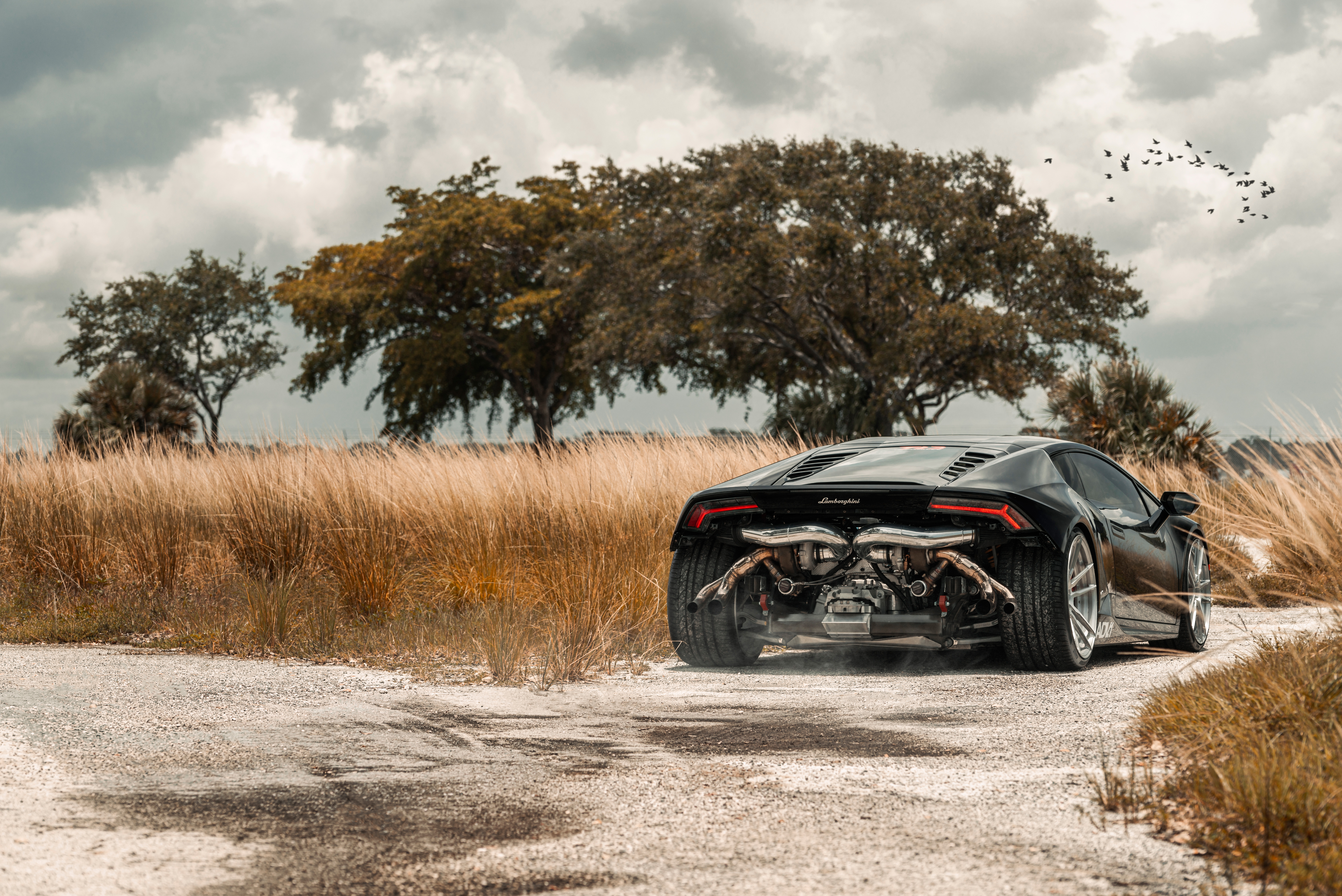 Laden Sie das Lamborghini Huracán, Lamborghini, Fahrzeuge-Bild kostenlos auf Ihren PC-Desktop herunter