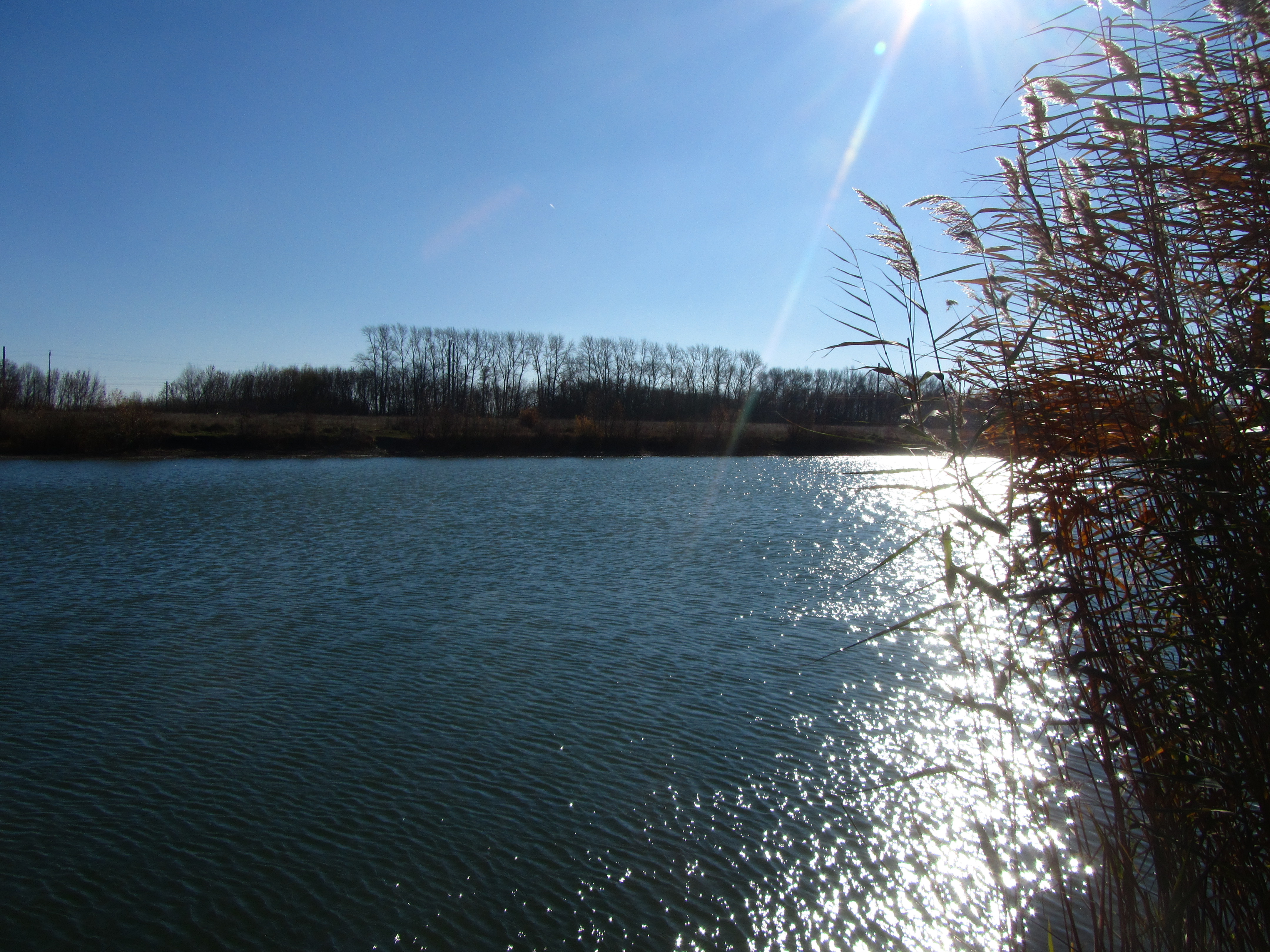 Handy-Wallpaper Wasser, Erde/natur kostenlos herunterladen.