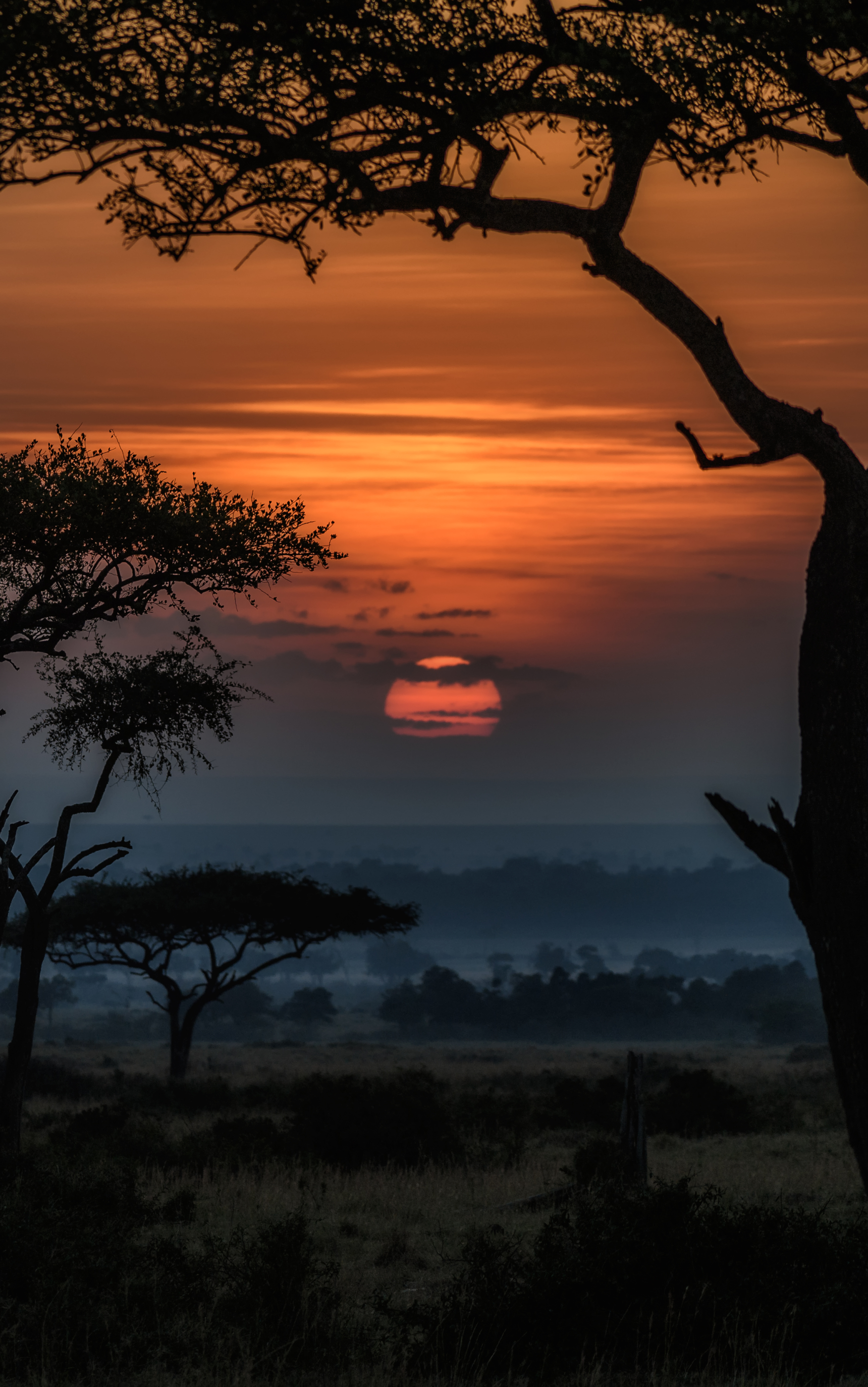 earth, sunrise, kenia, africa, savannah, landscape, dawn Full HD
