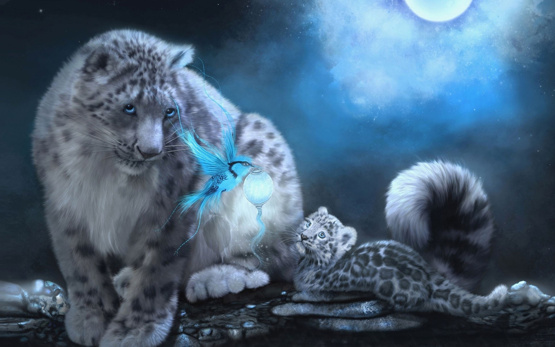 Free download wallpaper Cats, Snow Leopard, Animal on your PC desktop