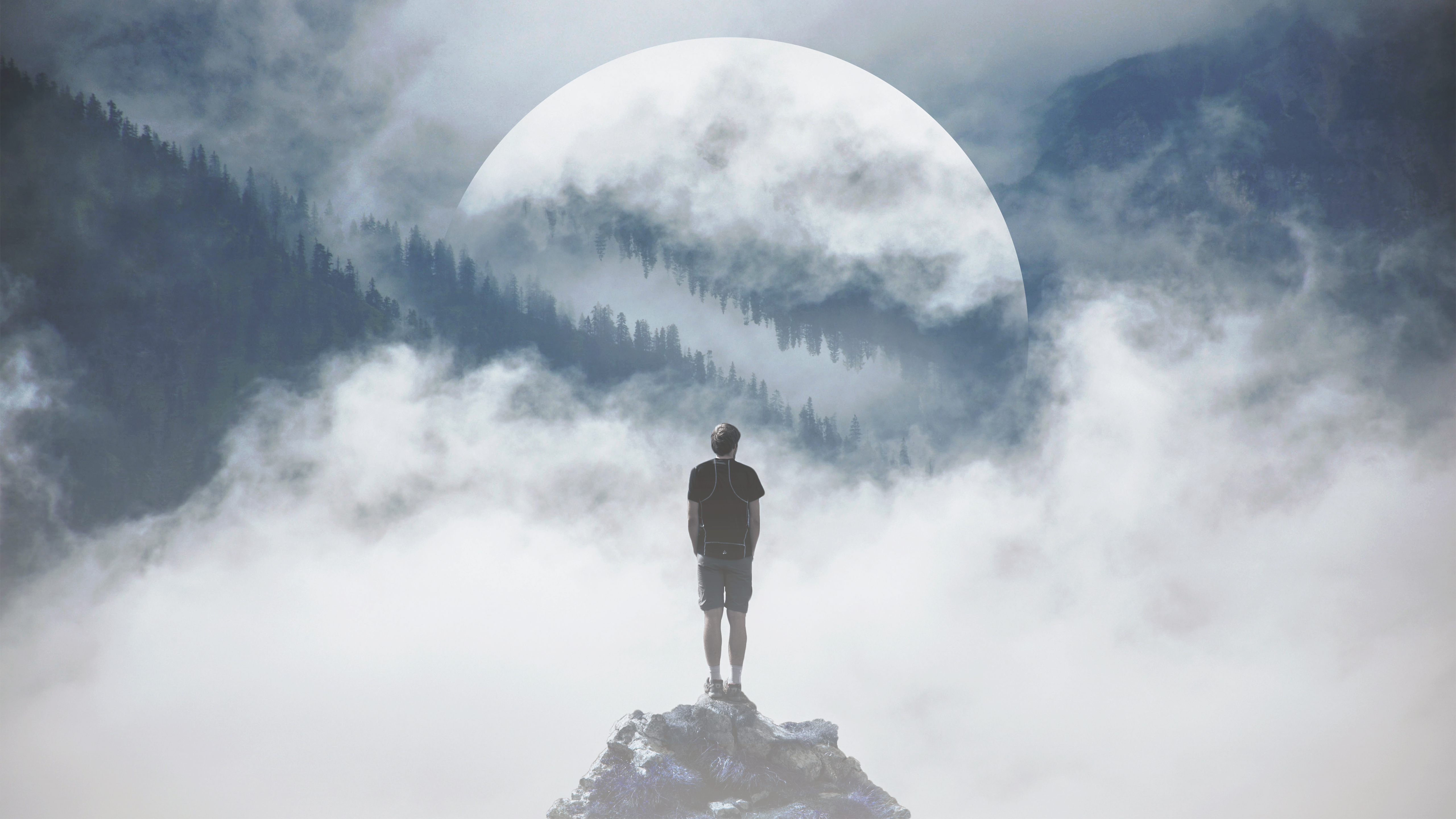 Download mobile wallpaper Moon, Forest, Dream, Photography, Manipulation for free.