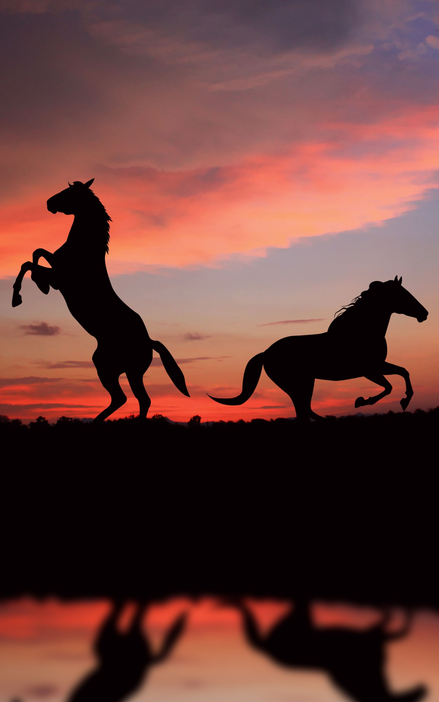 無料モバイル壁紙動物, 日没, 馬, シルエットをダウンロードします。