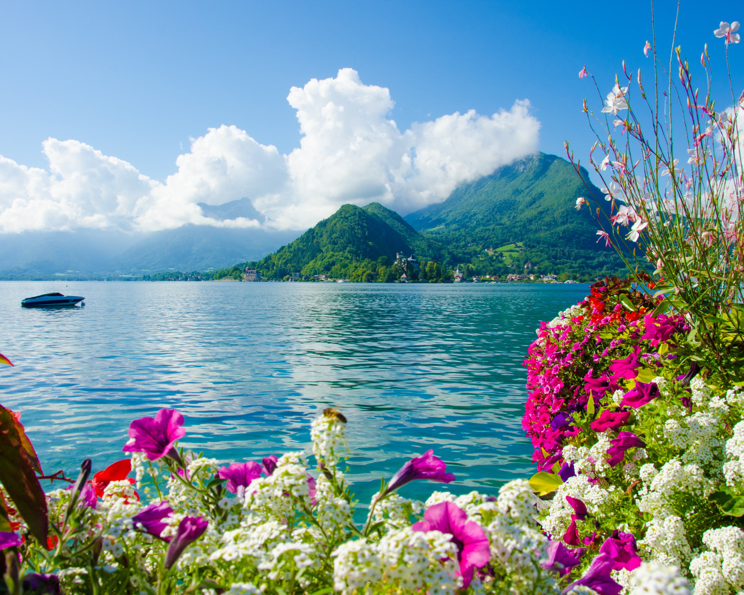 Download mobile wallpaper Lakes, Lake, Flower, Photography for free.