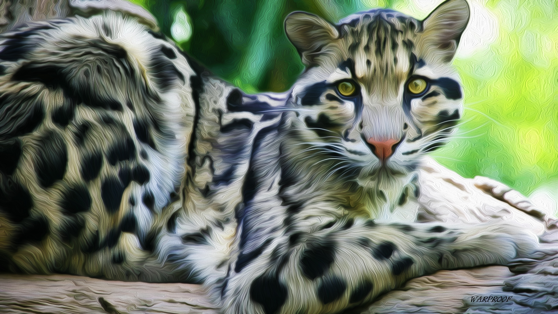 312469 baixar imagens animais, leopardo nebuloso, pintura a óleo, gatos - papéis de parede e protetores de tela gratuitamente