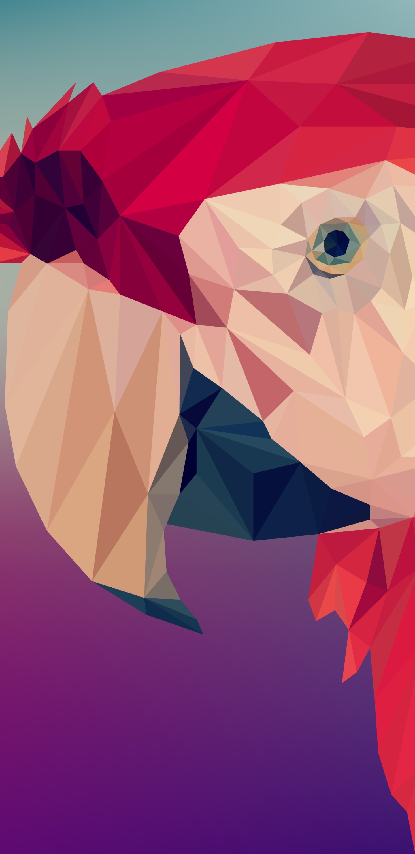 Download mobile wallpaper Abstract, Bird, Facets, Polygon, Low Poly, Parrot for free.