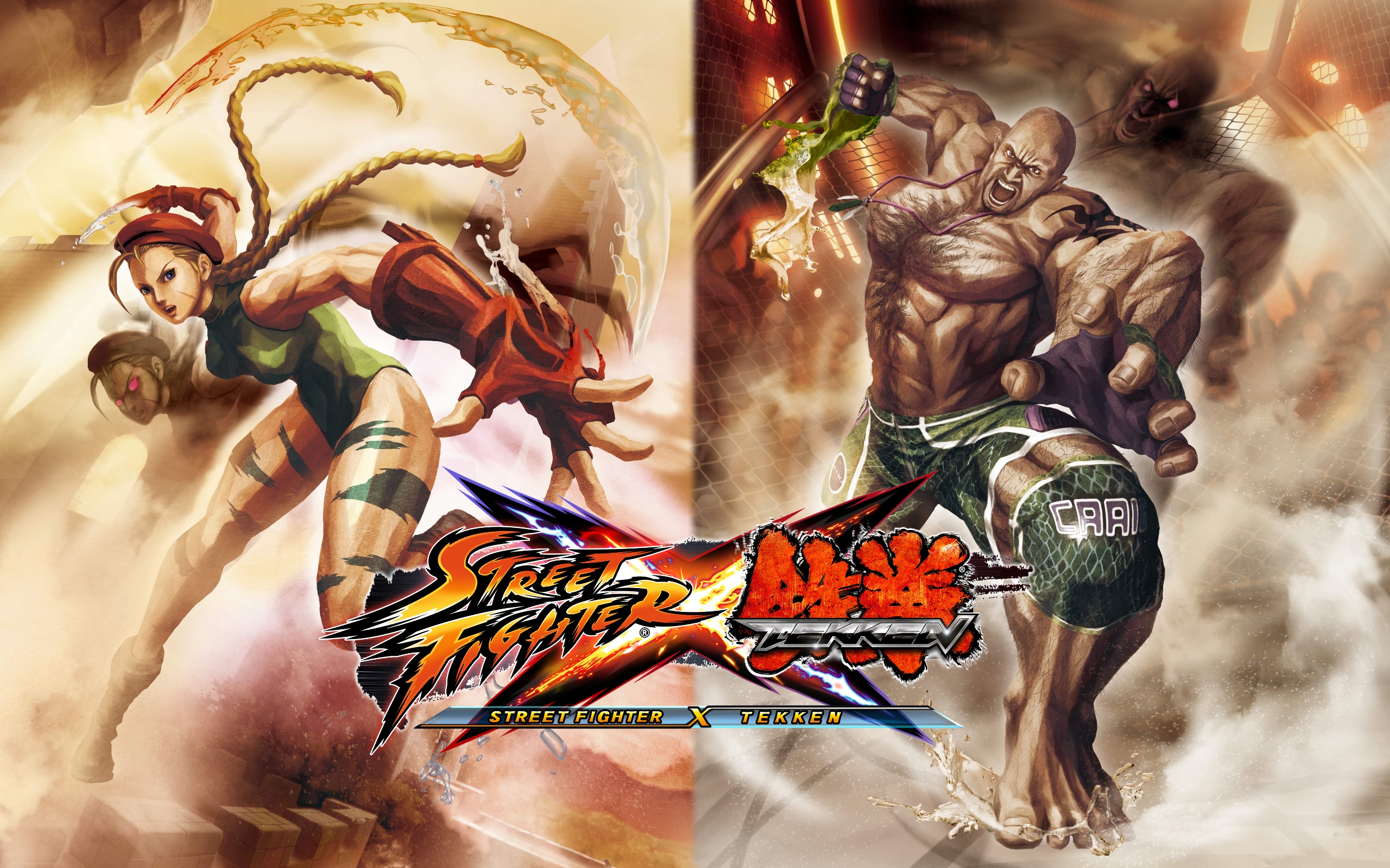 Téléchargez des papiers peints mobile Street Fighter X Tekken, Combattant De Rue, Jeux Vidéo gratuitement.