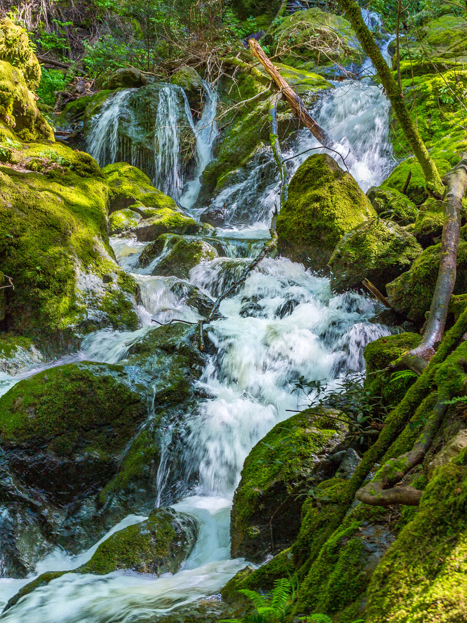 Download mobile wallpaper Nature, Earth, Foam, Moss, Stream for free.