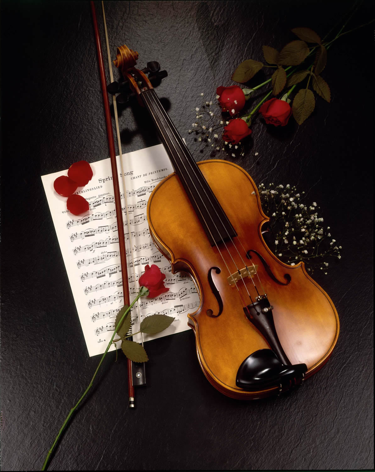 objects, violins, tools, black, music, flowers, roses Full HD