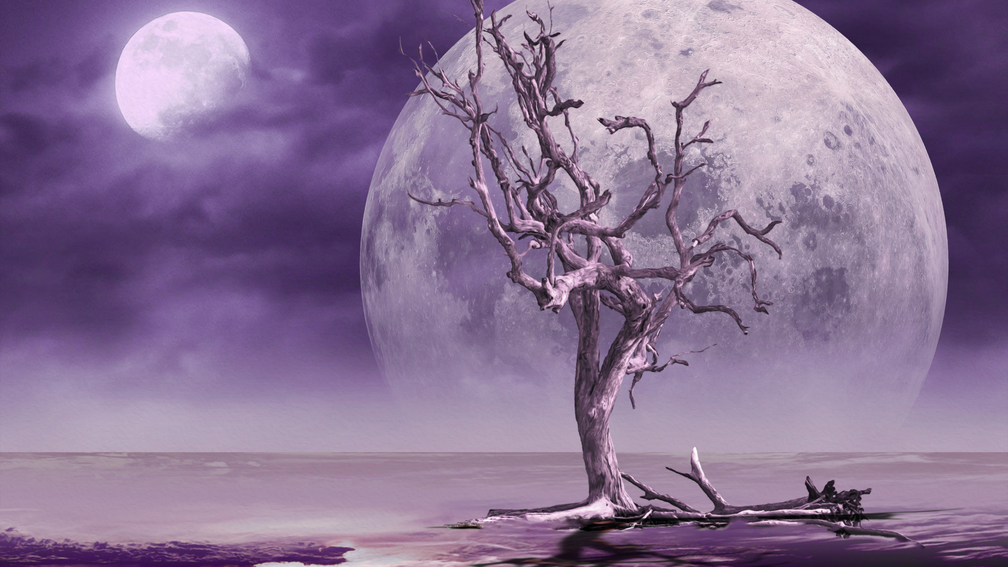 Download mobile wallpaper Fantasy, Moon for free.