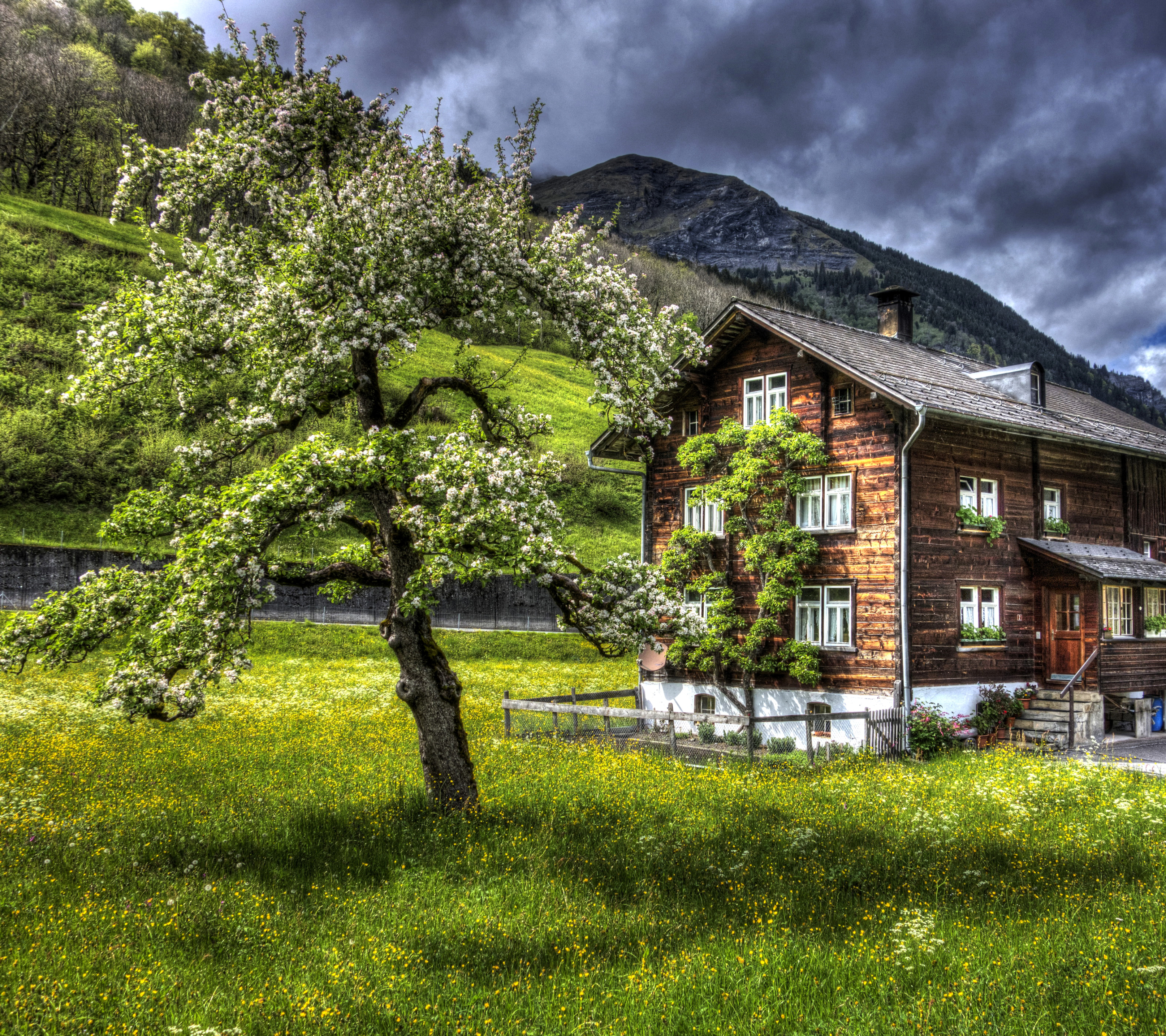 Handy-Wallpaper Berg, Baum, Alpen, Schweiz, Gebirge, Hdr, Fotografie, Gras kostenlos herunterladen.