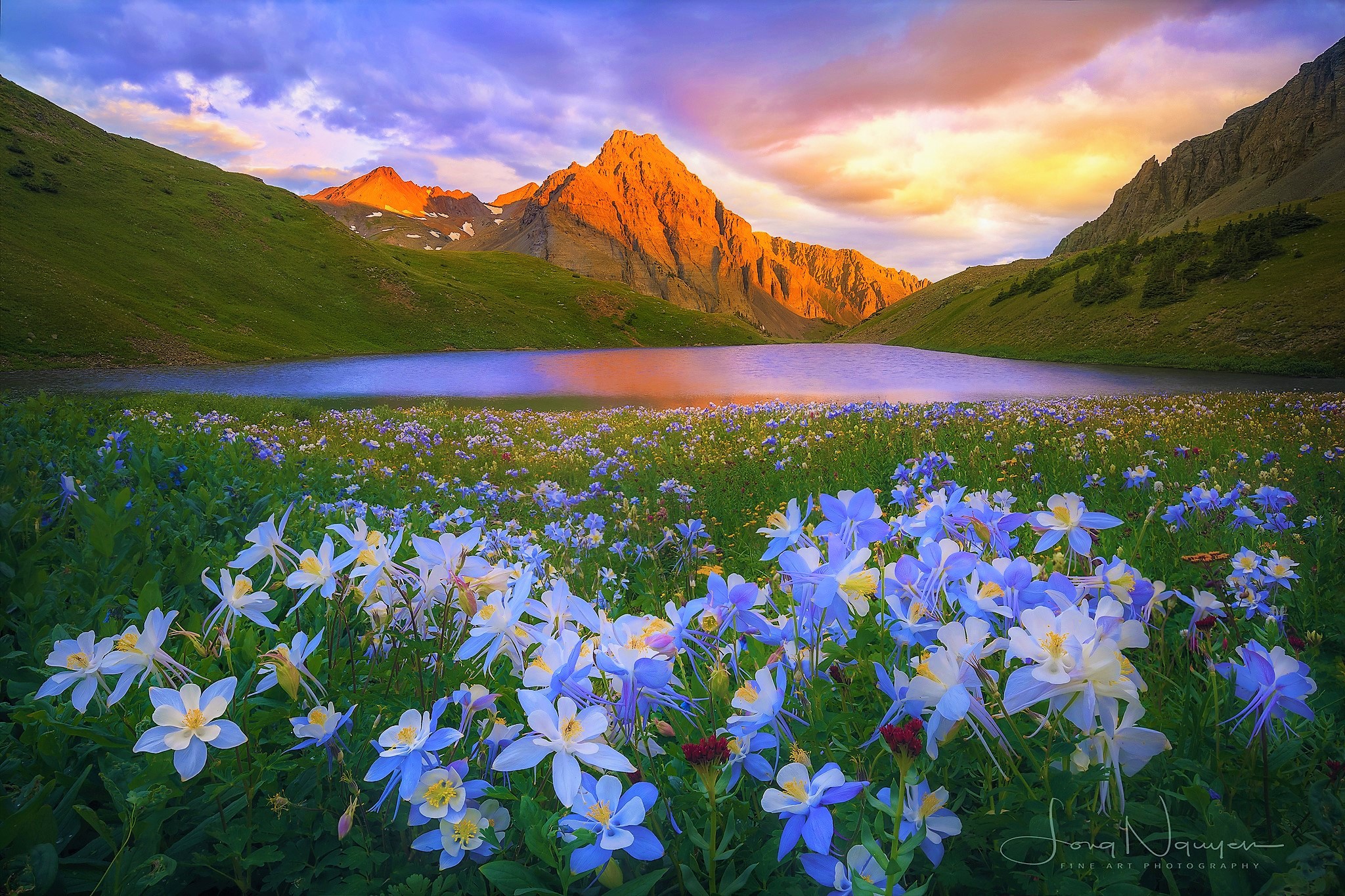 無料モバイル壁紙風景, 草, 湖, 山, 花, 地球, 春, 青い花をダウンロードします。