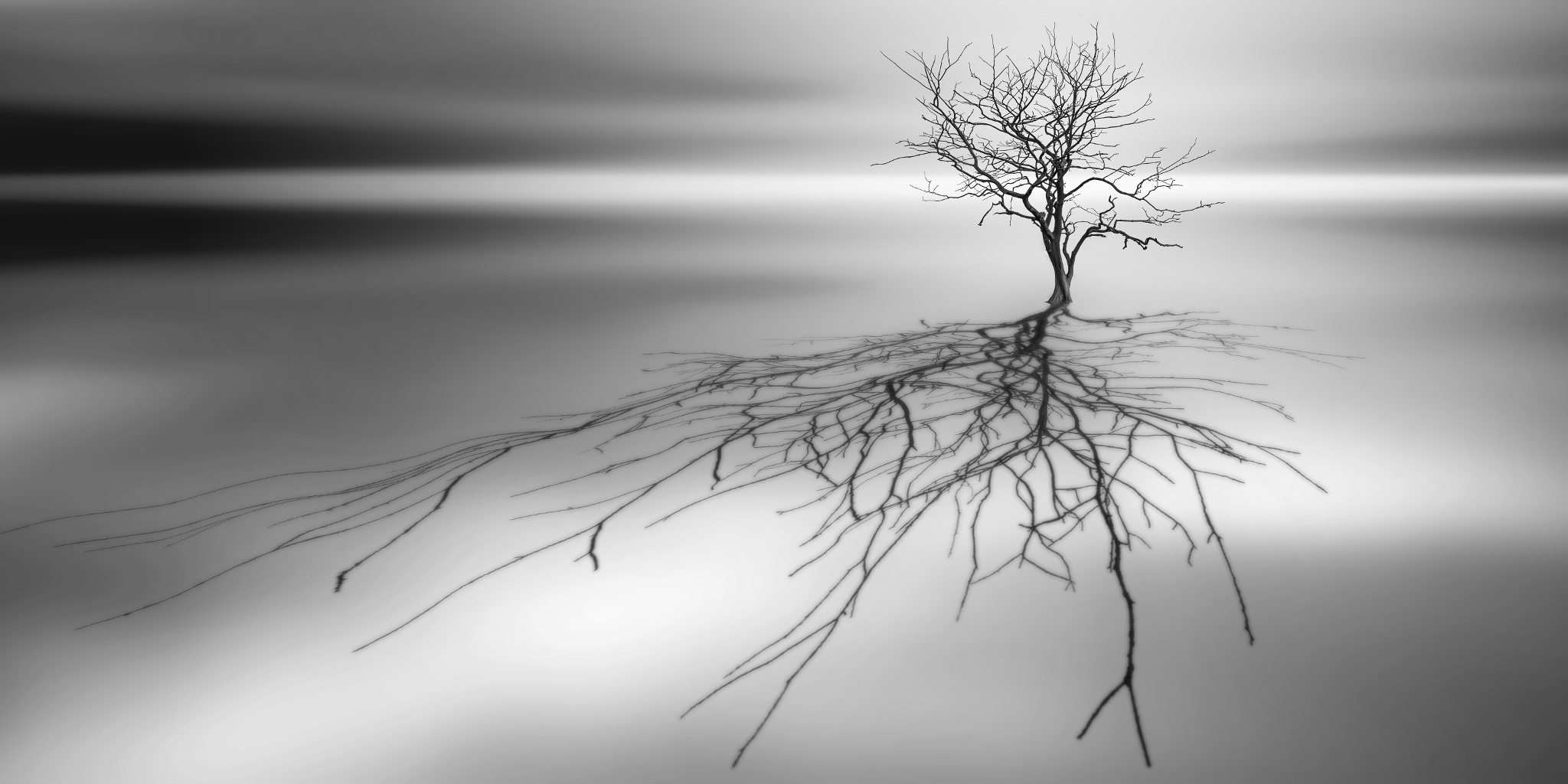 Free download wallpaper Nature, Trees, Tree, Earth, Shadow, Lonely Tree on your PC desktop