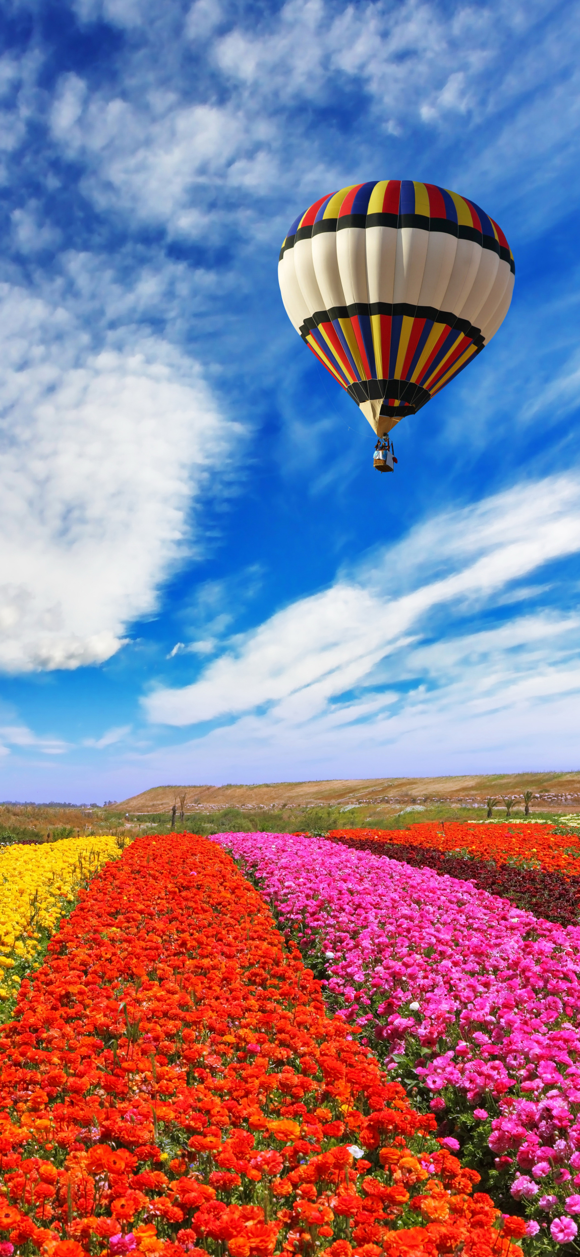 Download mobile wallpaper Yellow Flower, Red Flower, Vehicles, Pink Flower, Hot Air Balloon for free.