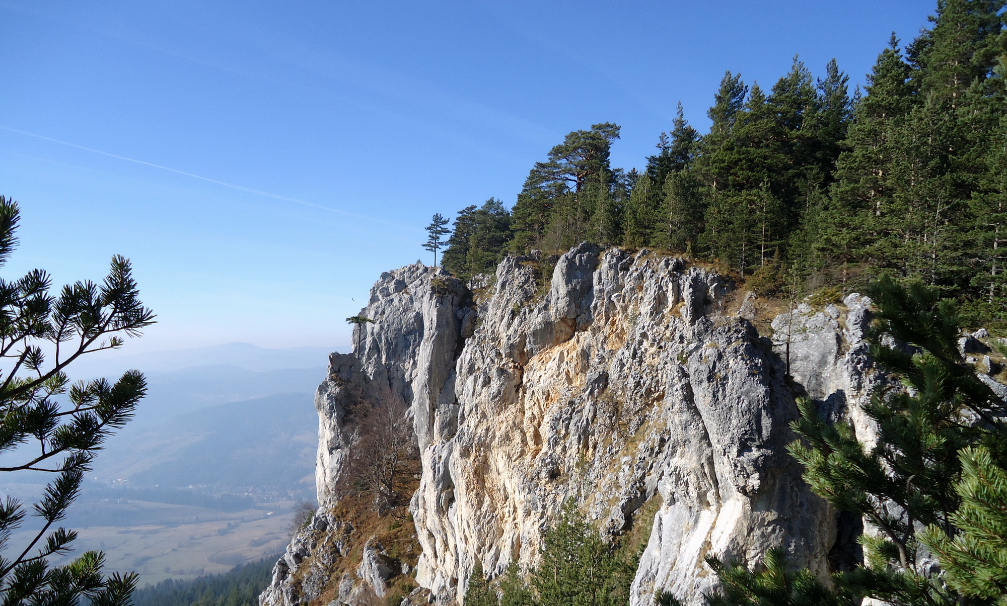 Handy-Wallpaper Landschaft, Wald, Klippe, Gebirge, Szene, Erde/natur kostenlos herunterladen.