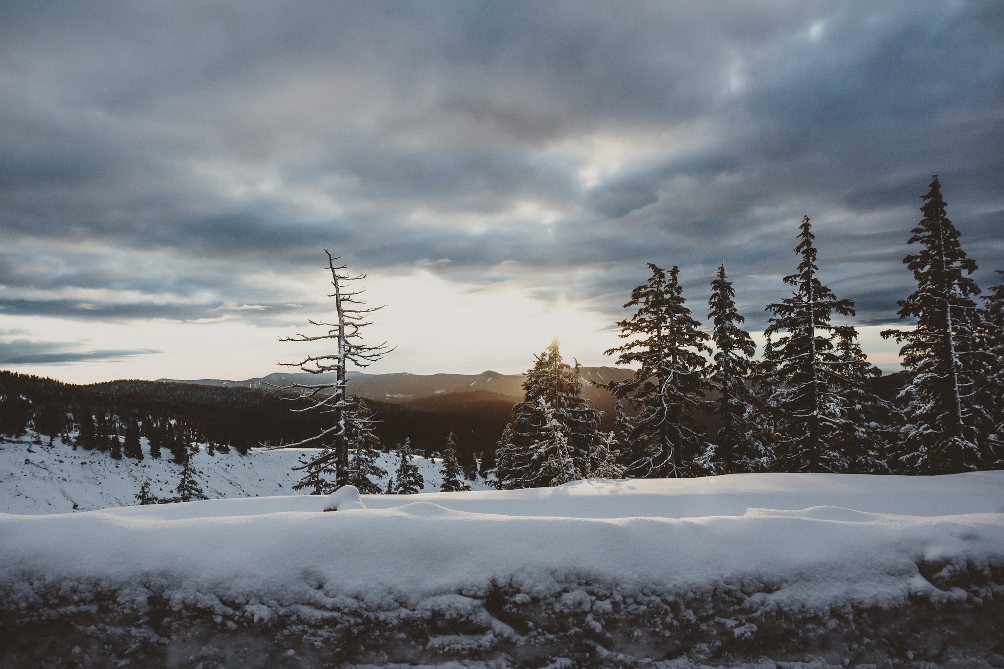 Скачать картинку Зима, Природа, Облака, Снег, Дерево, Ландшафт, Земля/природа в телефон бесплатно.