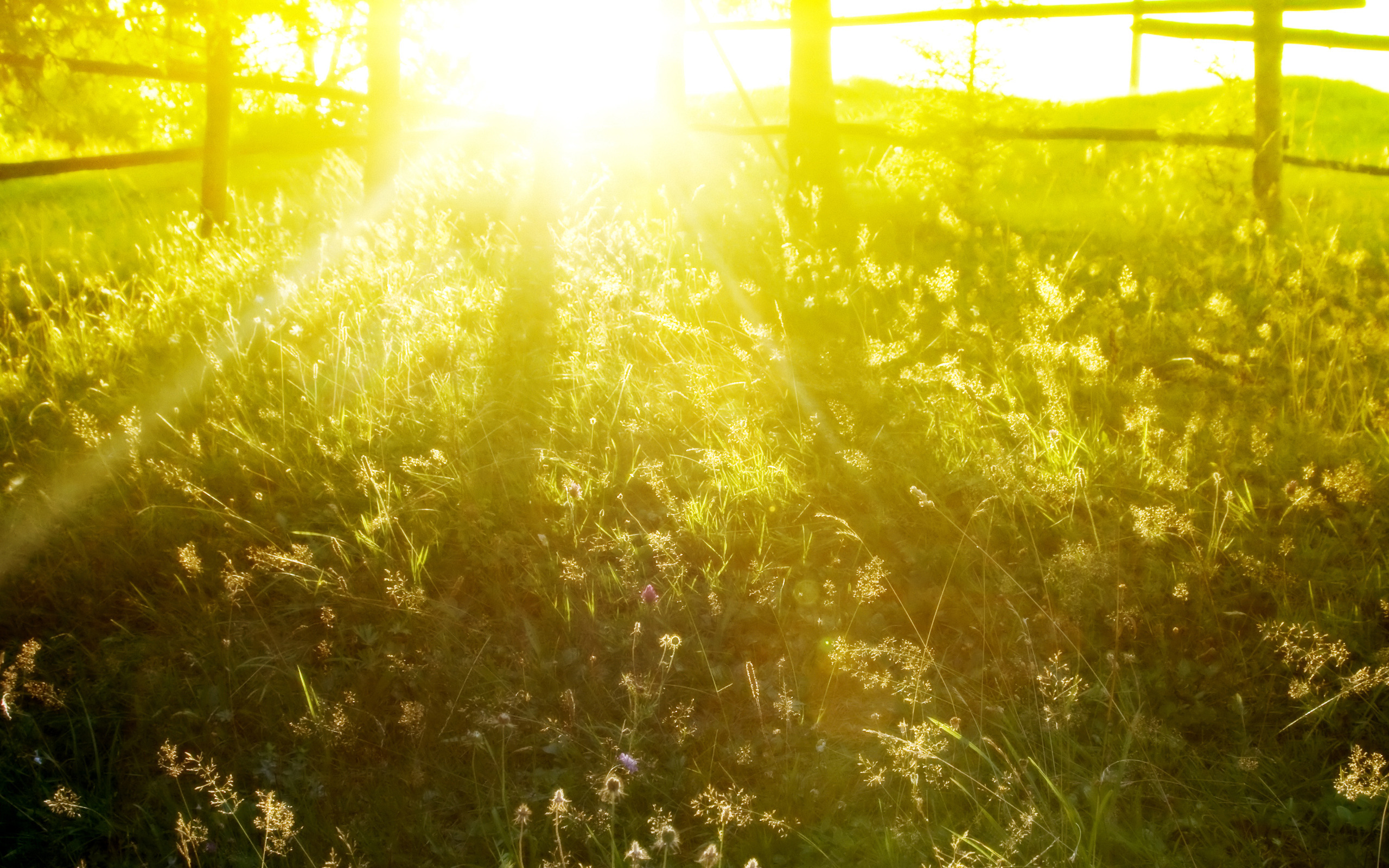 Téléchargez des papiers peints mobile Terre/nature, Lever De Soleil gratuitement.